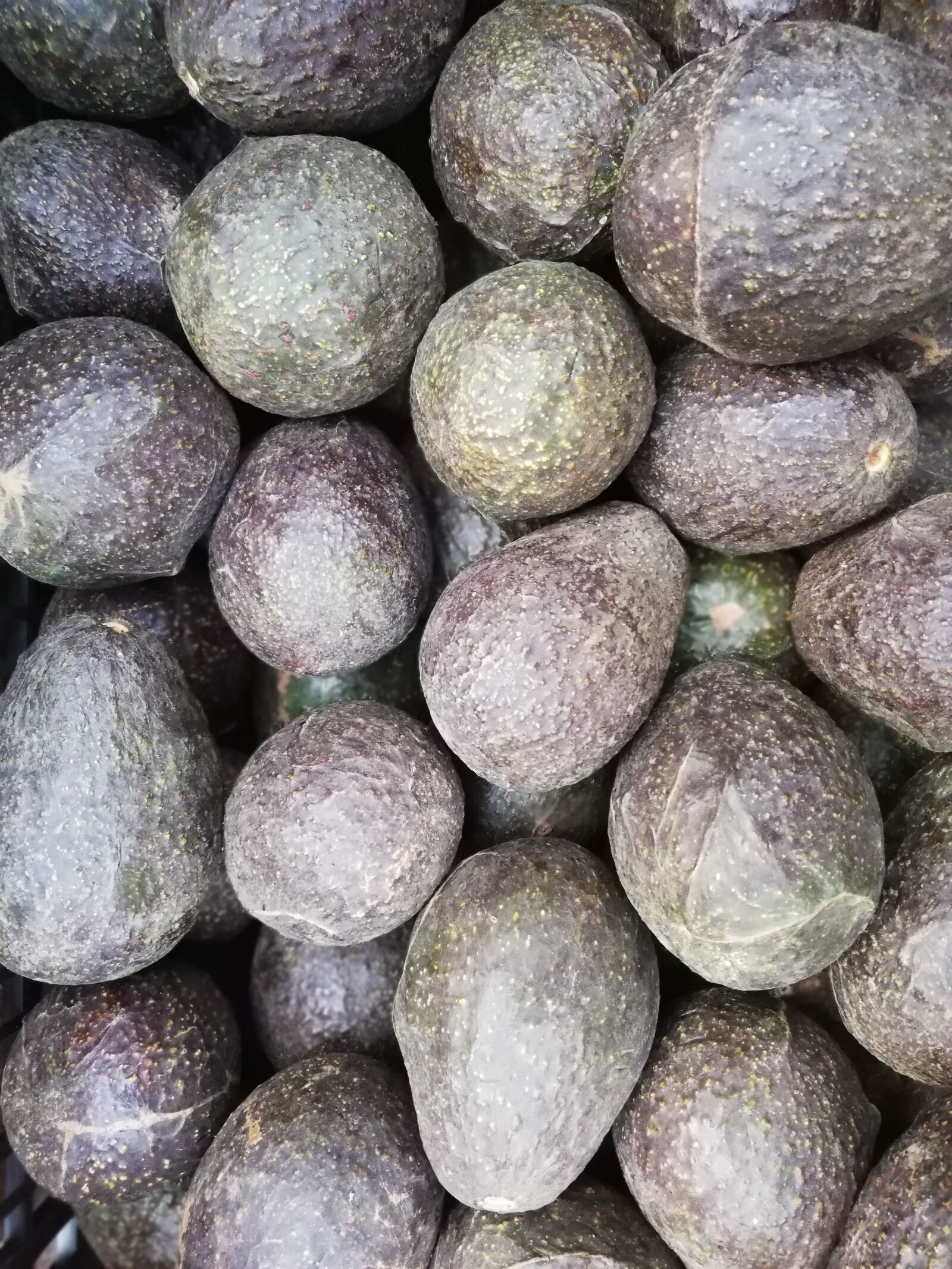 HUAWEI P20 lite sample photo. Avocado, fruit, black photography