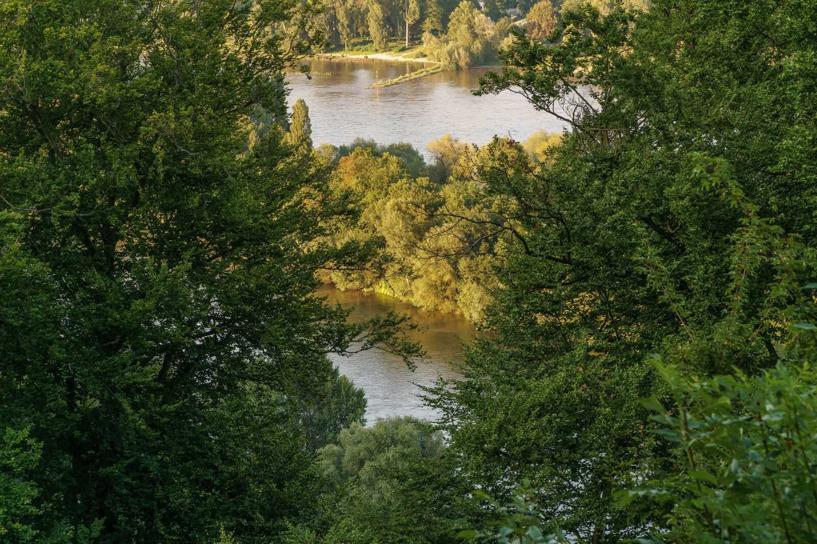 Sony a6000 + Sony E PZ 18-105mm F4 G OSS sample photo. Rhine, trees, abendstimmung photography