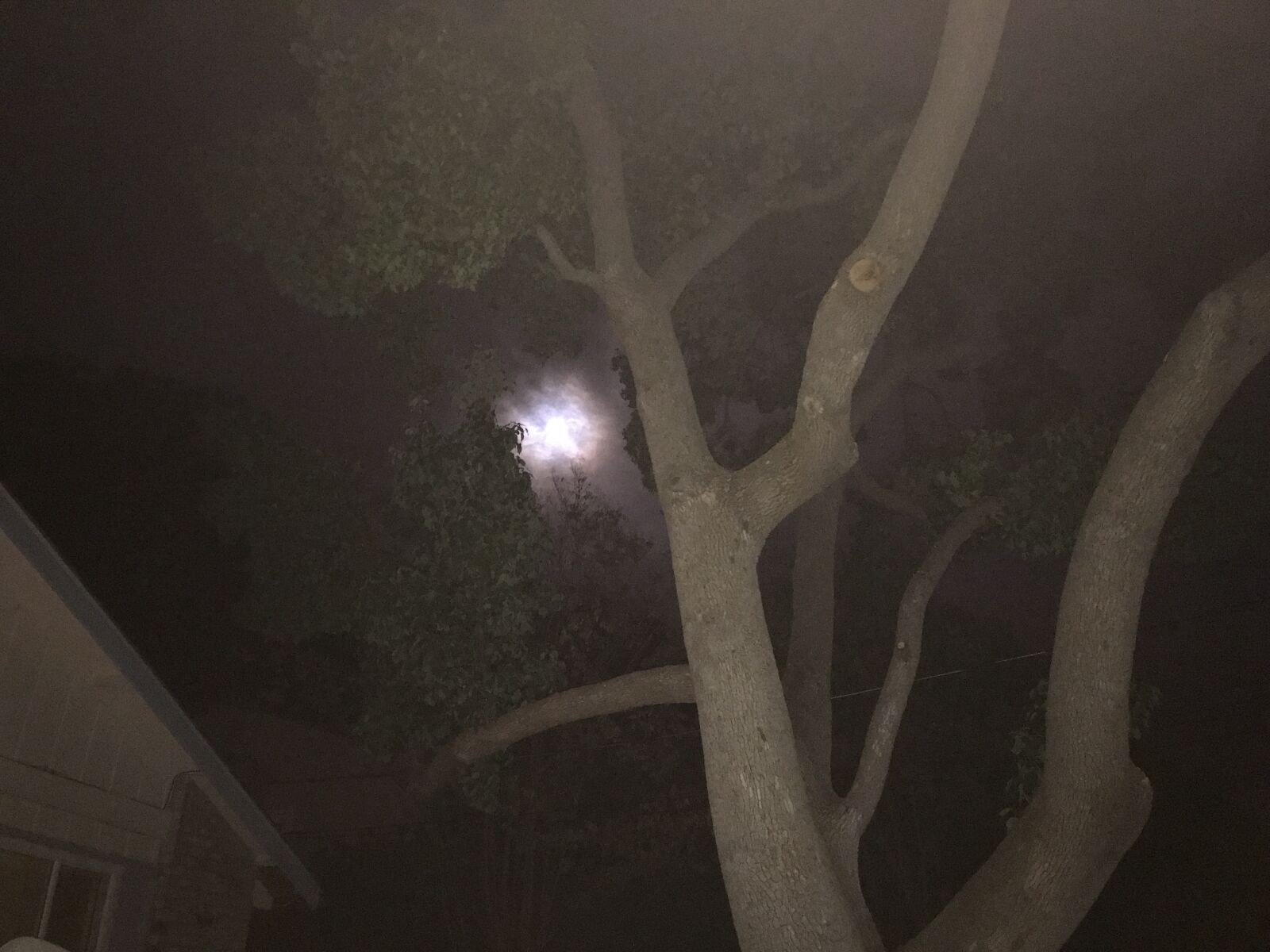 iPhone 7 back camera 3.99mm f/1.8 sample photo. Eerie, night, moon photography
