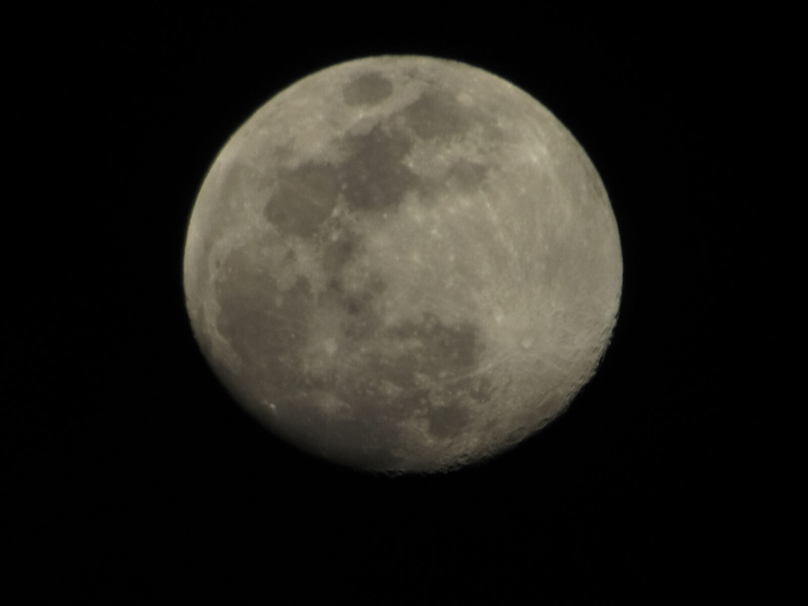 Canon PowerShot SX530 HS sample photo