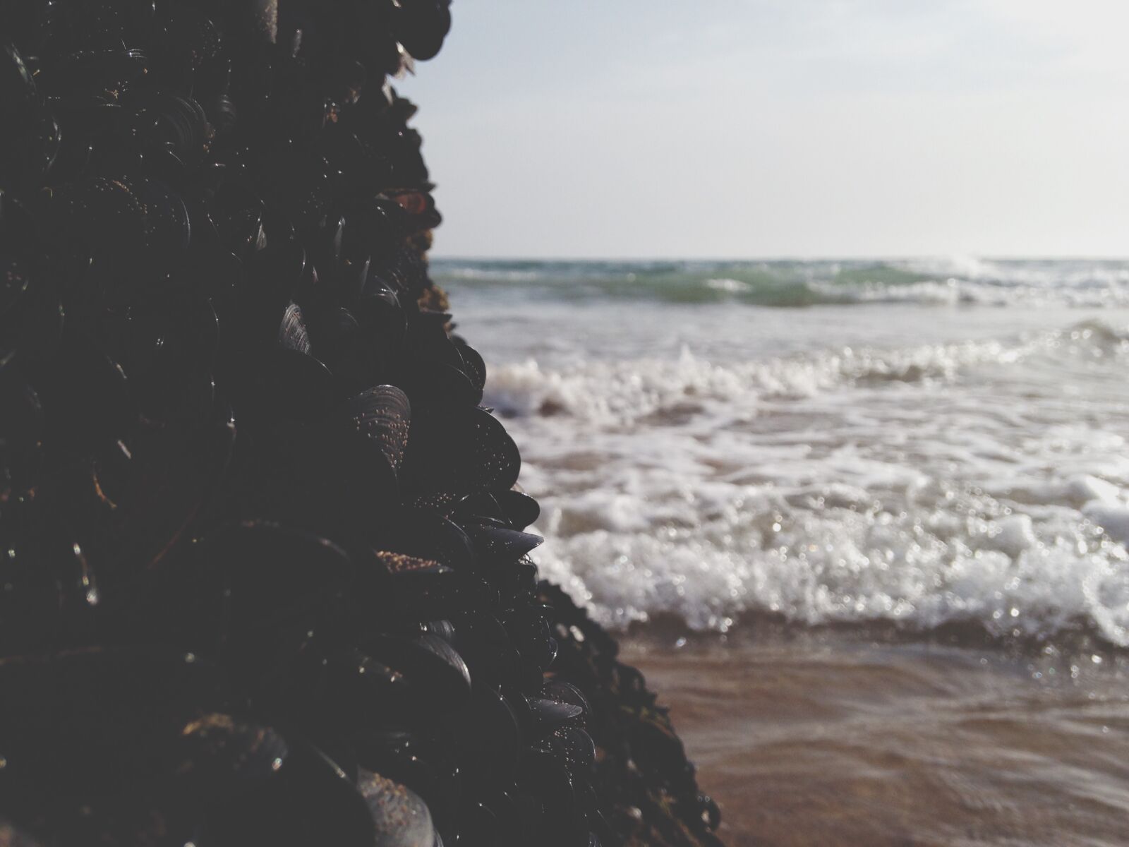 Apple iPhone 5 sample photo. Beach, sea, water photography