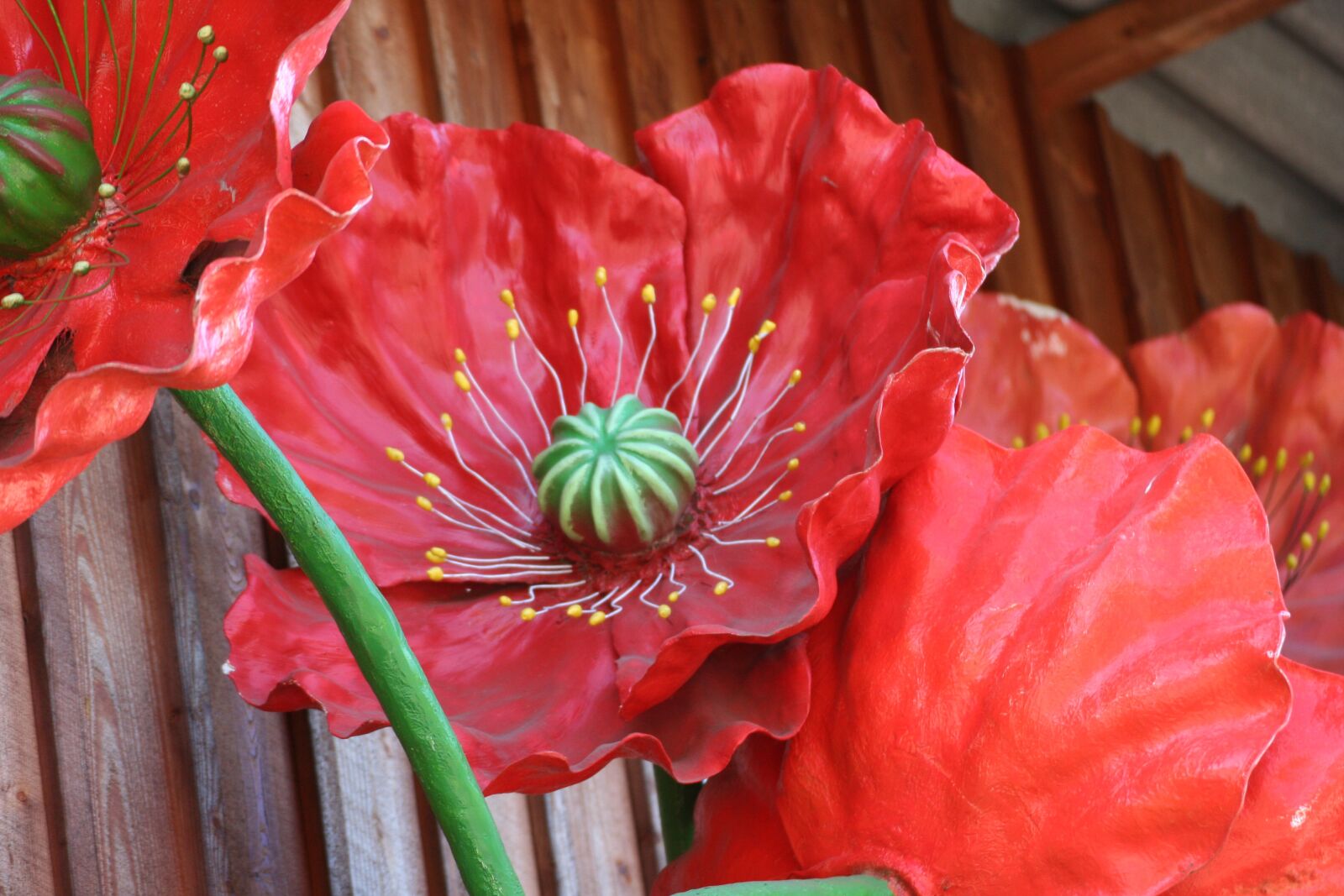 Canon EOS 350D (EOS Digital Rebel XT / EOS Kiss Digital N) sample photo. Poppy flower, art, red photography