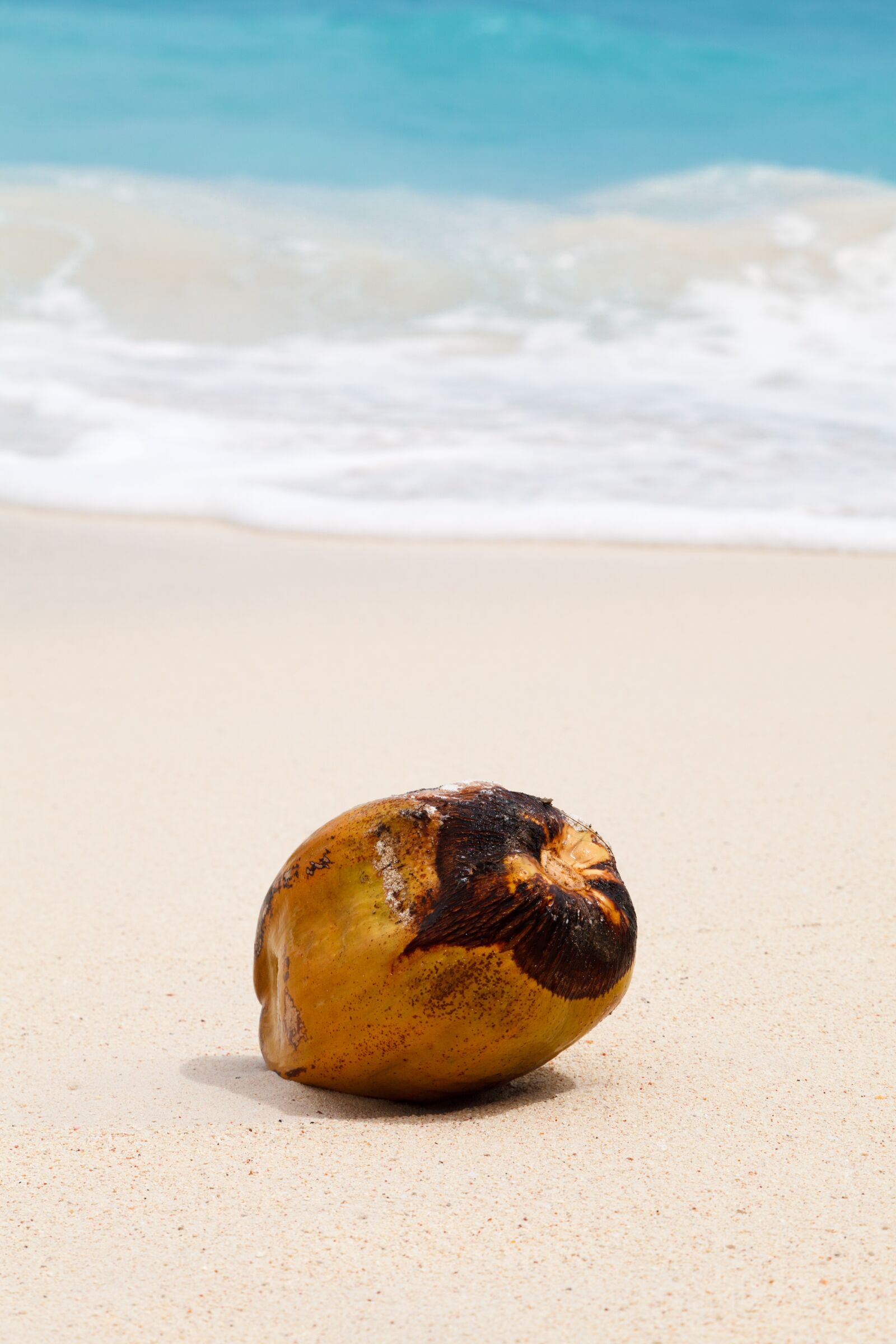 Canon EOS 5D Mark II sample photo. Beach, blue, caribbean, coconut photography