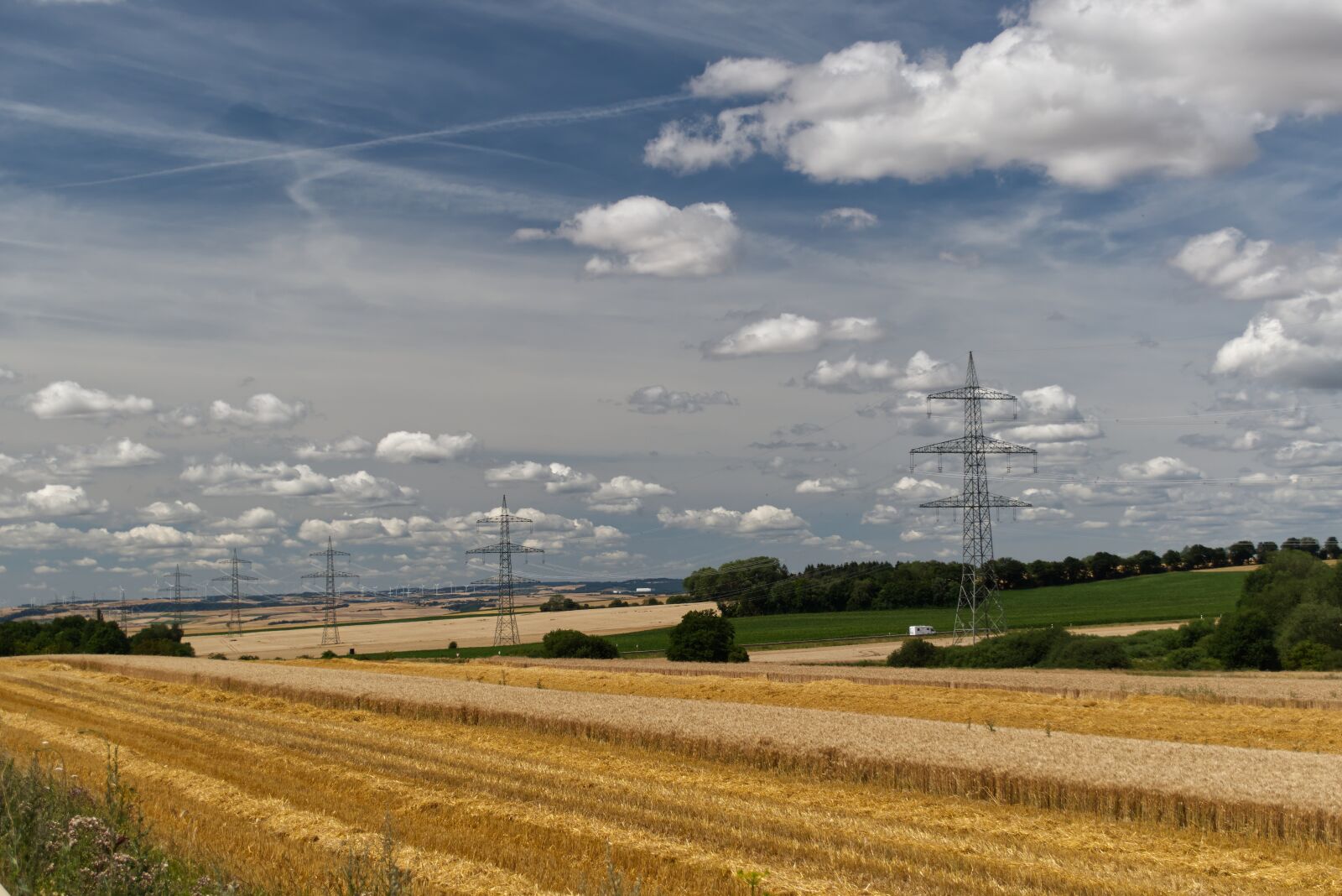 Nikon D5500 sample photo. Field, grain, wheat photography
