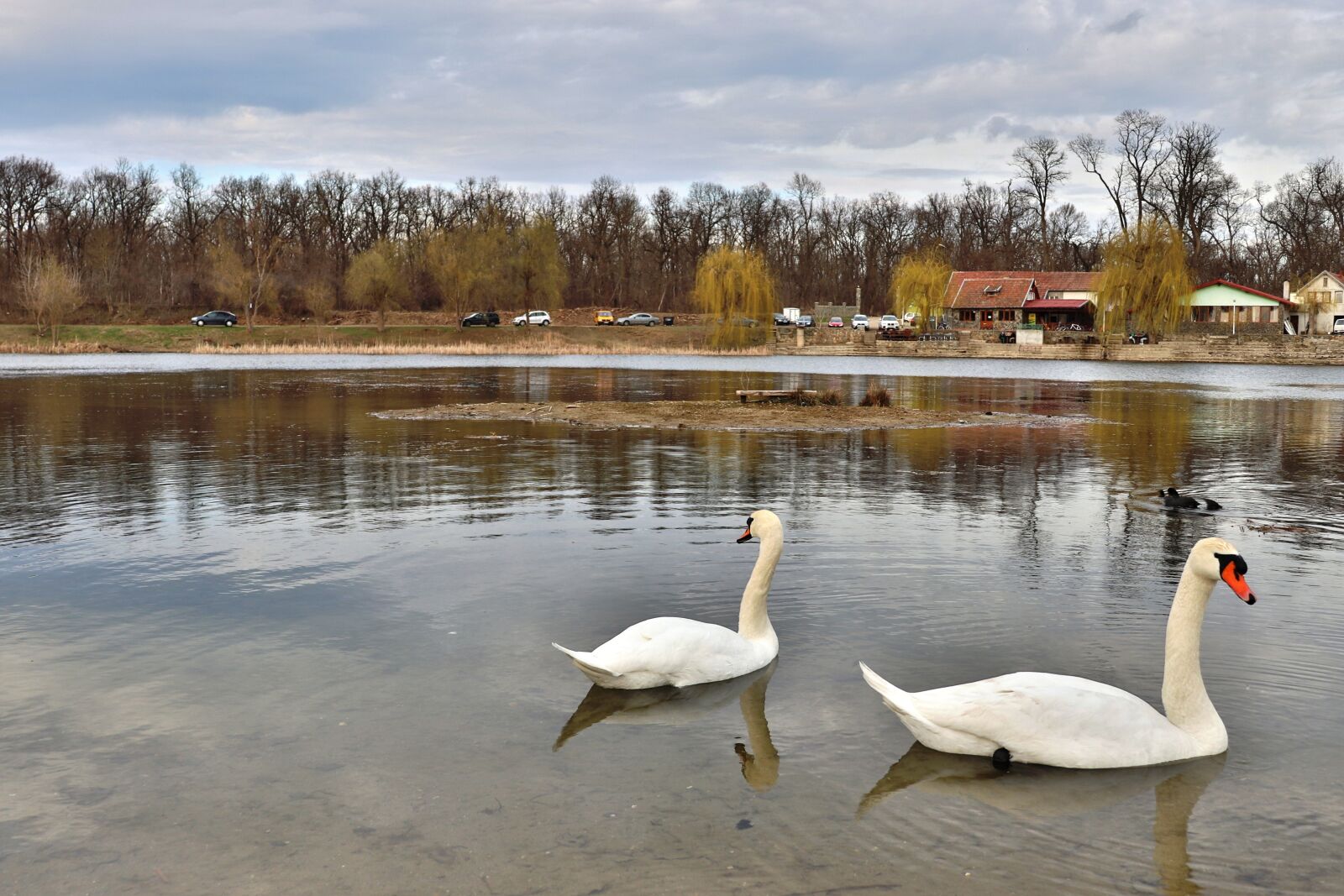 Canon EOS 200D (EOS Rebel SL2 / EOS Kiss X9) sample photo. Swan, romania, lake photography