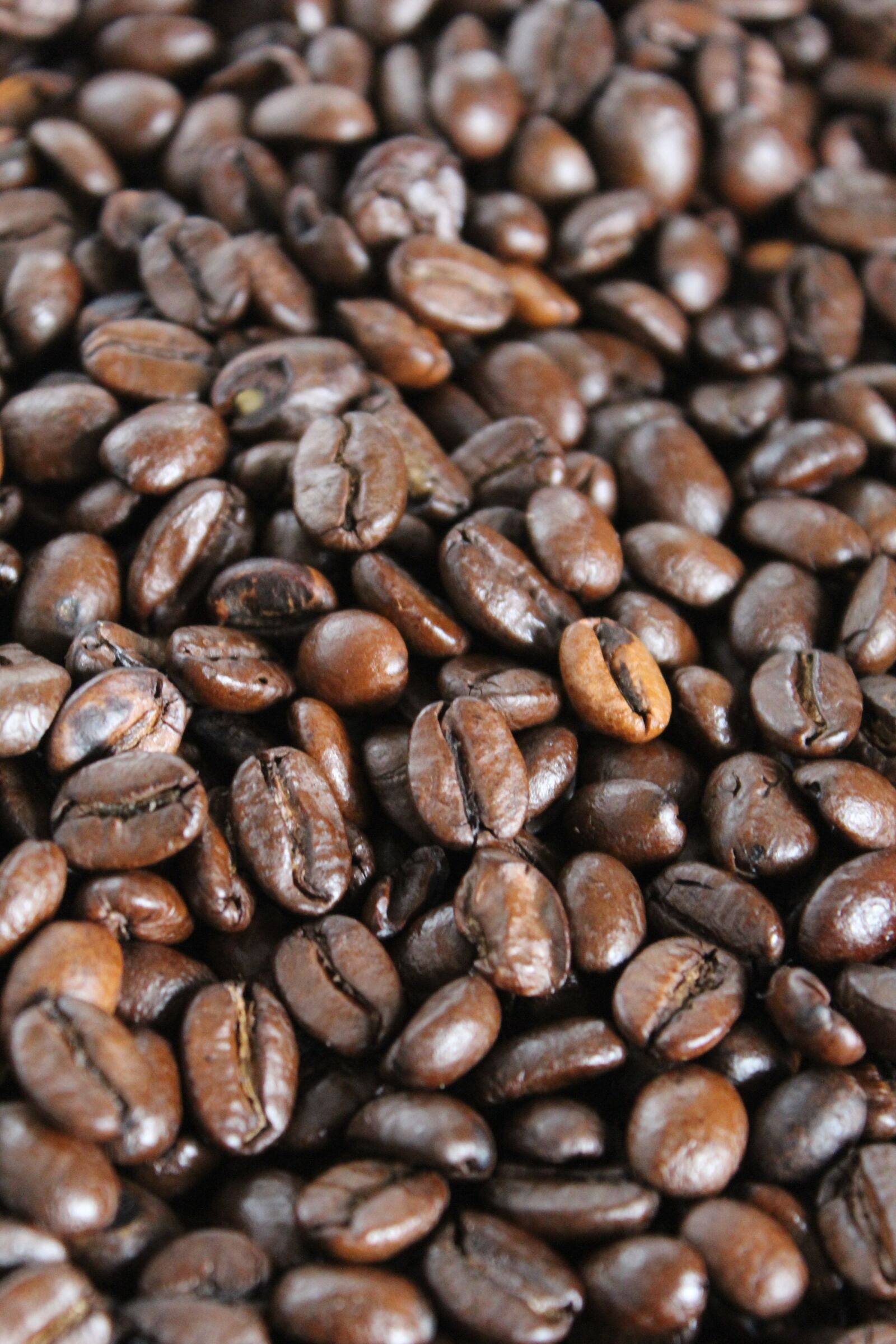 Canon EOS 600D (Rebel EOS T3i / EOS Kiss X5) sample photo. Coffee, grain, coffee beans photography
