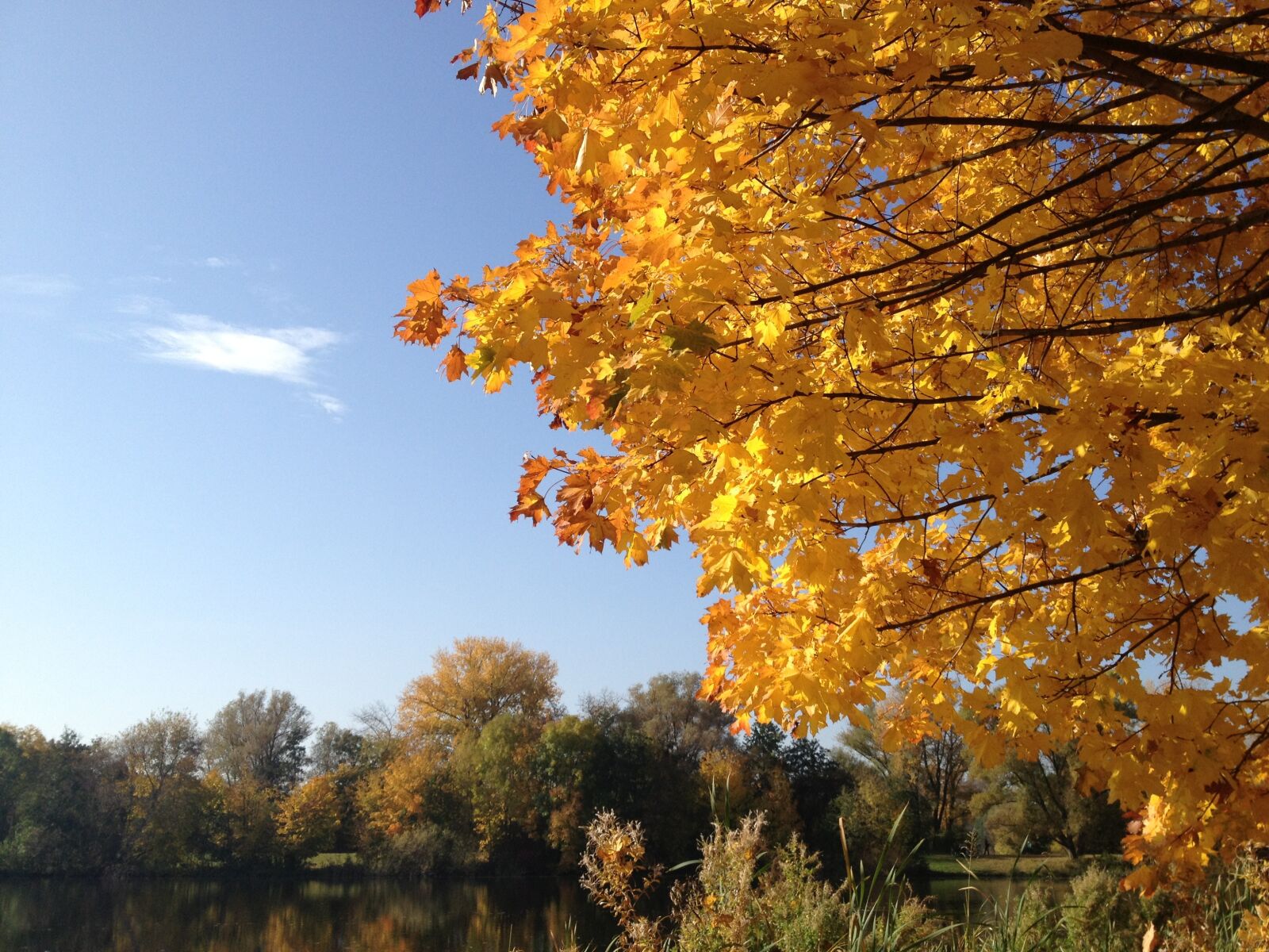Apple iPhone 4S sample photo. Autumn, sun, sky photography