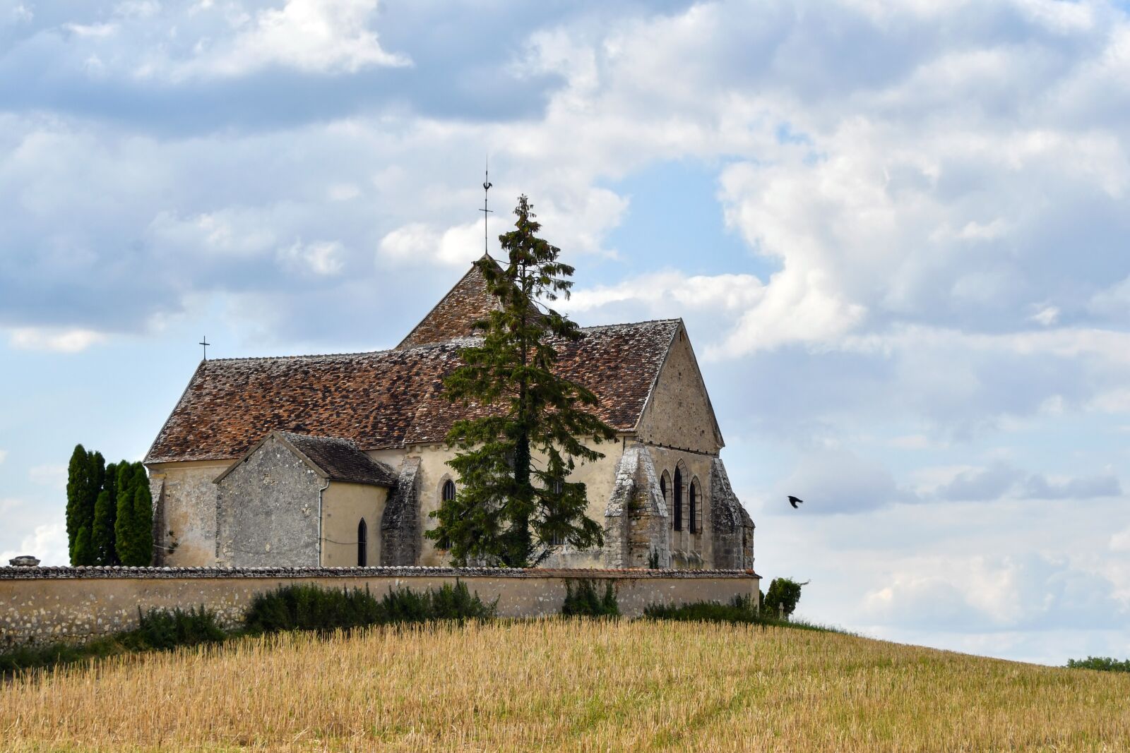 Nikon D500 sample photo. Church, fields, building photography