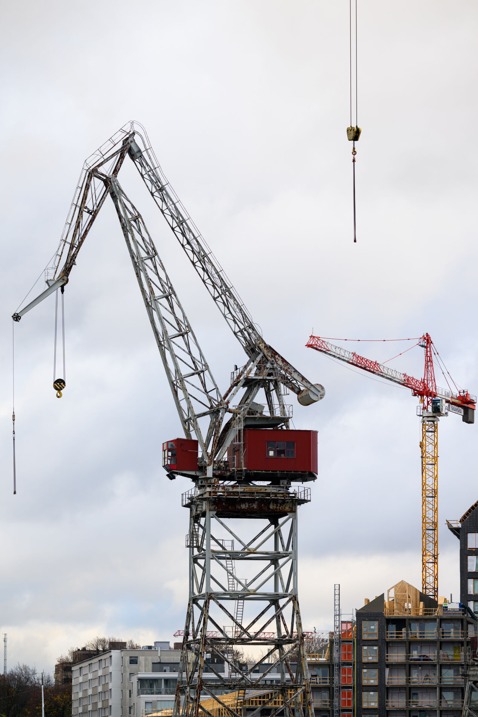 Nikon Nikkor Z 100-400mm F4.5-5.6 VR S sample photo. Seaside cranes photography