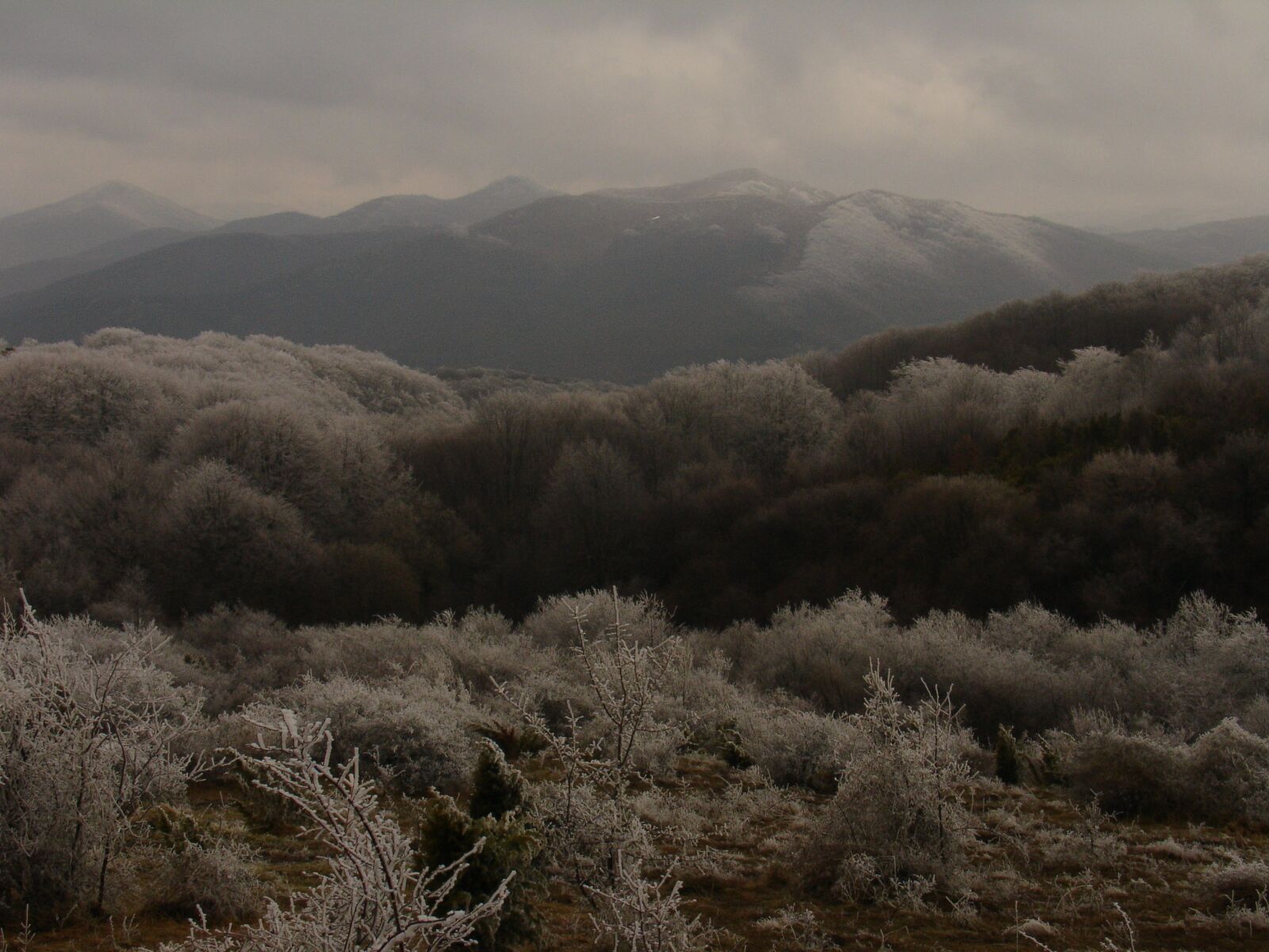 Sony DSC-V3 sample photo. Balkan mountain, snow, winter photography