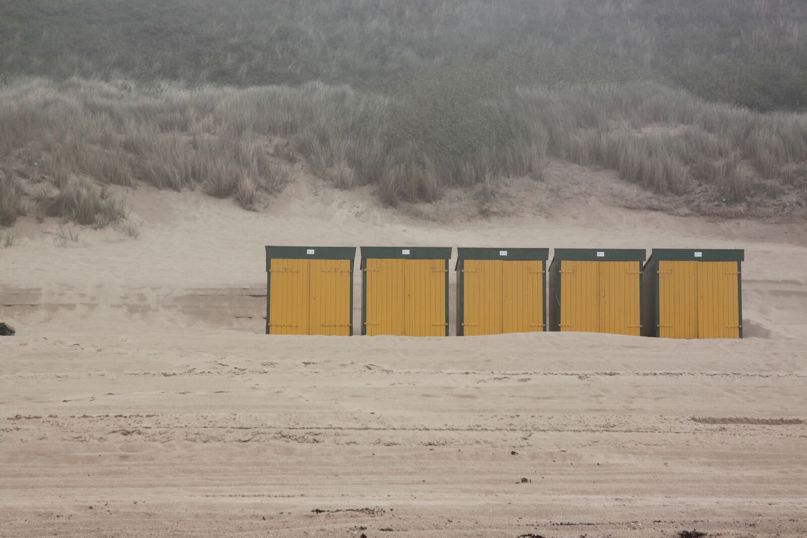 Canon EOS 500D (EOS Rebel T1i / EOS Kiss X3) sample photo. Beach, dune, dunes photography