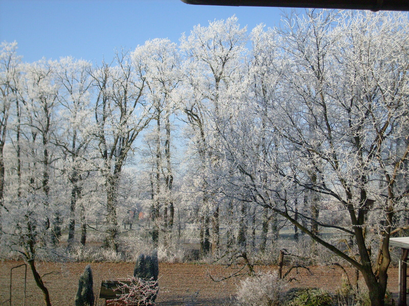 Samsung D70 / D75 / S730 / S750 sample photo