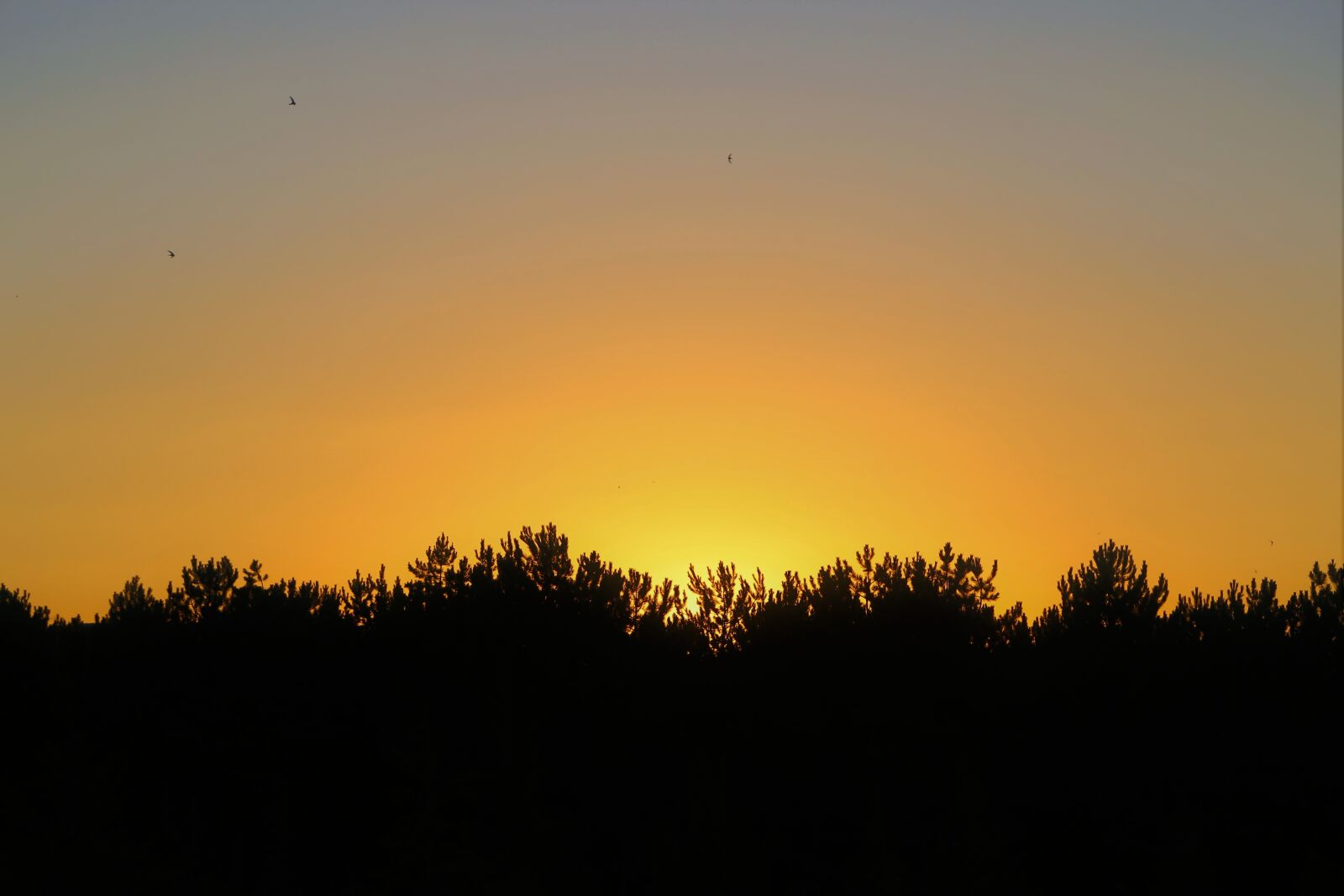 Canon EOS 6D + Canon EF 24-105mm F4L IS USM sample photo. Sunset, in the evening photography