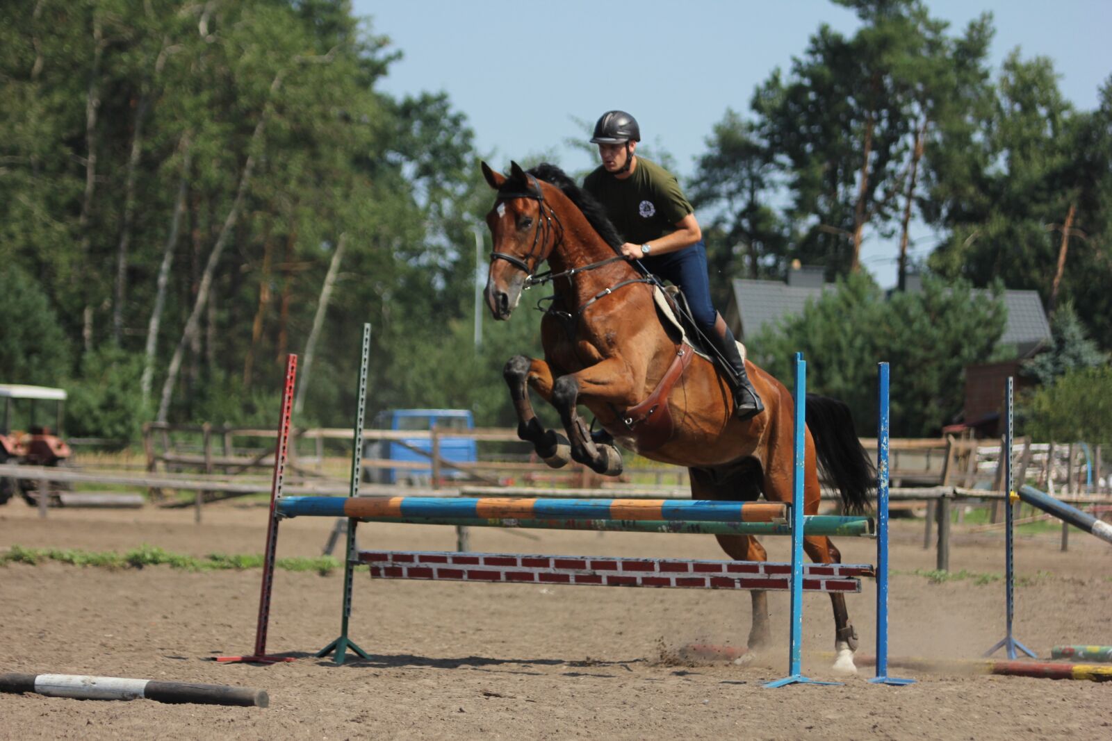 Canon EOS 600D (Rebel EOS T3i / EOS Kiss X5) sample photo. Horses, horse, skokiprzezprzeszkody photography