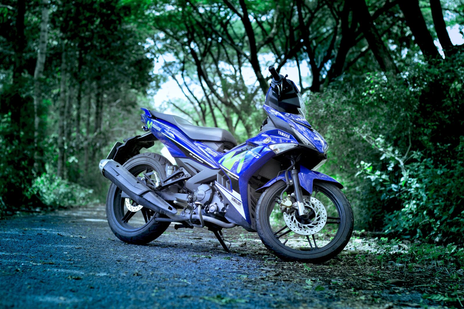 Canon EOS 60D + Canon EF 50mm F1.8 II sample photo. Yamaha, excenter photography