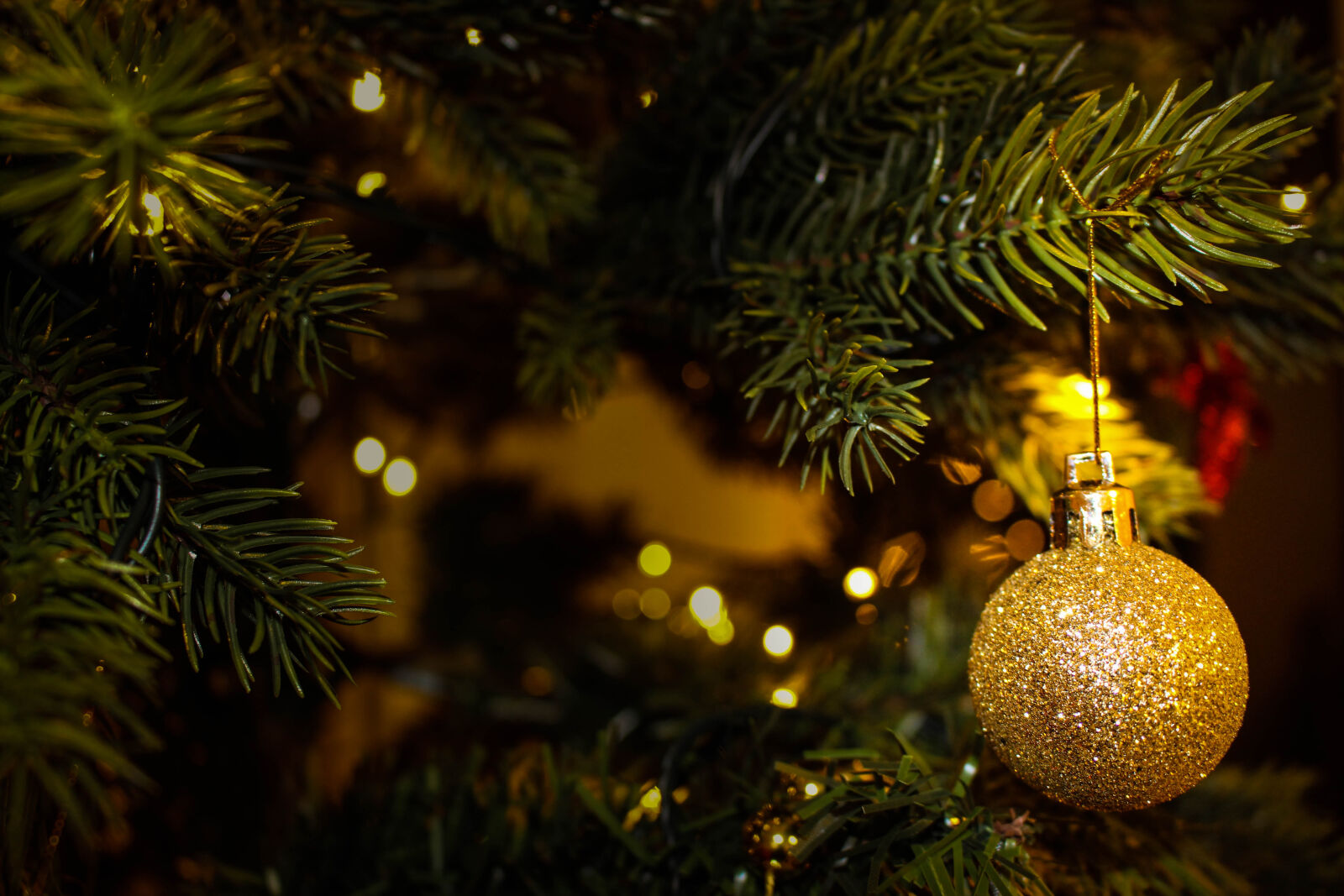 Canon EOS 700D (EOS Rebel T5i / EOS Kiss X7i) sample photo. Ball, blur, branch, celebration photography