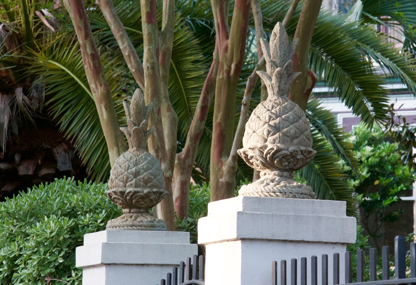 Canon EOS 30D sample photo. Charleston, pineapple, south photography