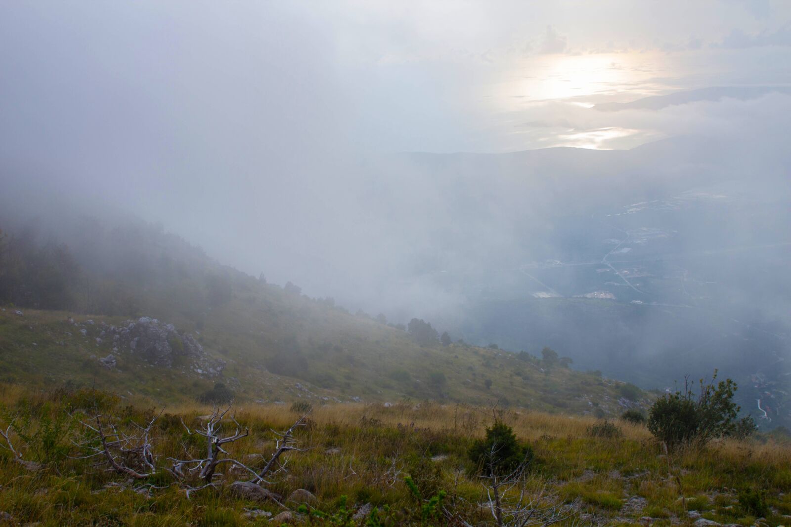 Canon EOS 600D (Rebel EOS T3i / EOS Kiss X5) sample photo. Sunset, fog, nature photography
