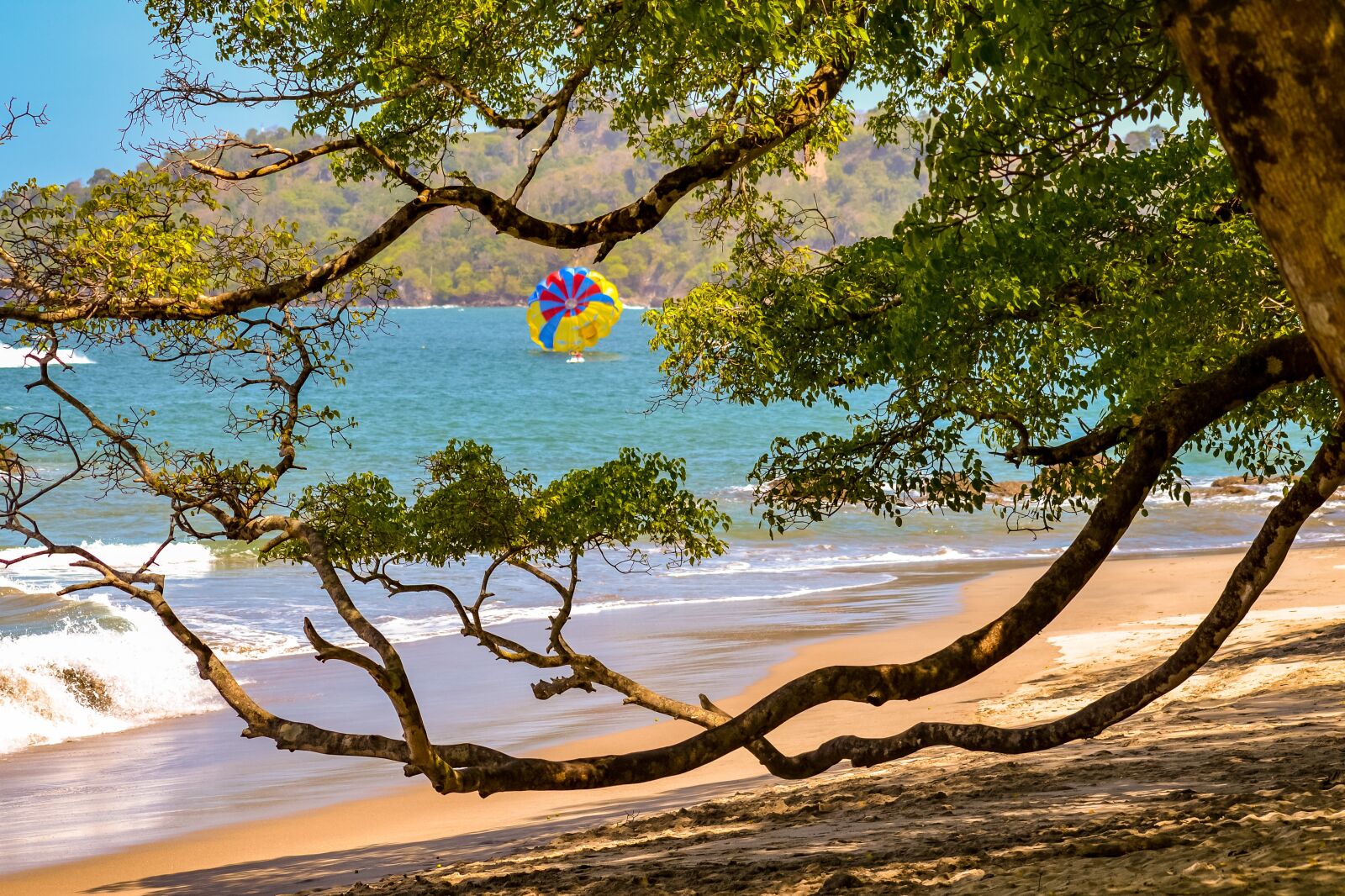 Nikon D3100 sample photo. Costa rica, manuel antonio photography