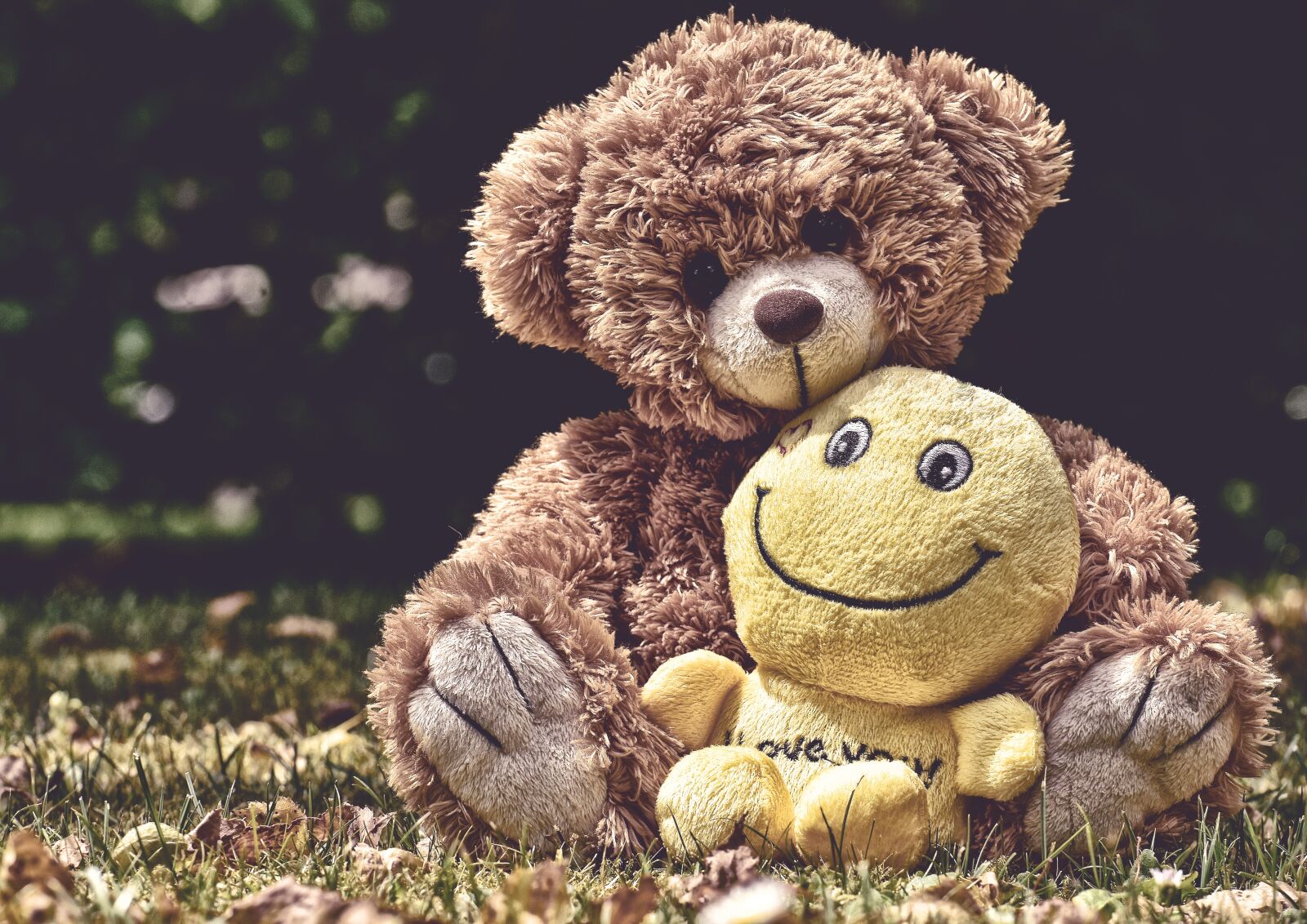 Nikon D7200 sample photo. Teddy, smiley, soft toy photography