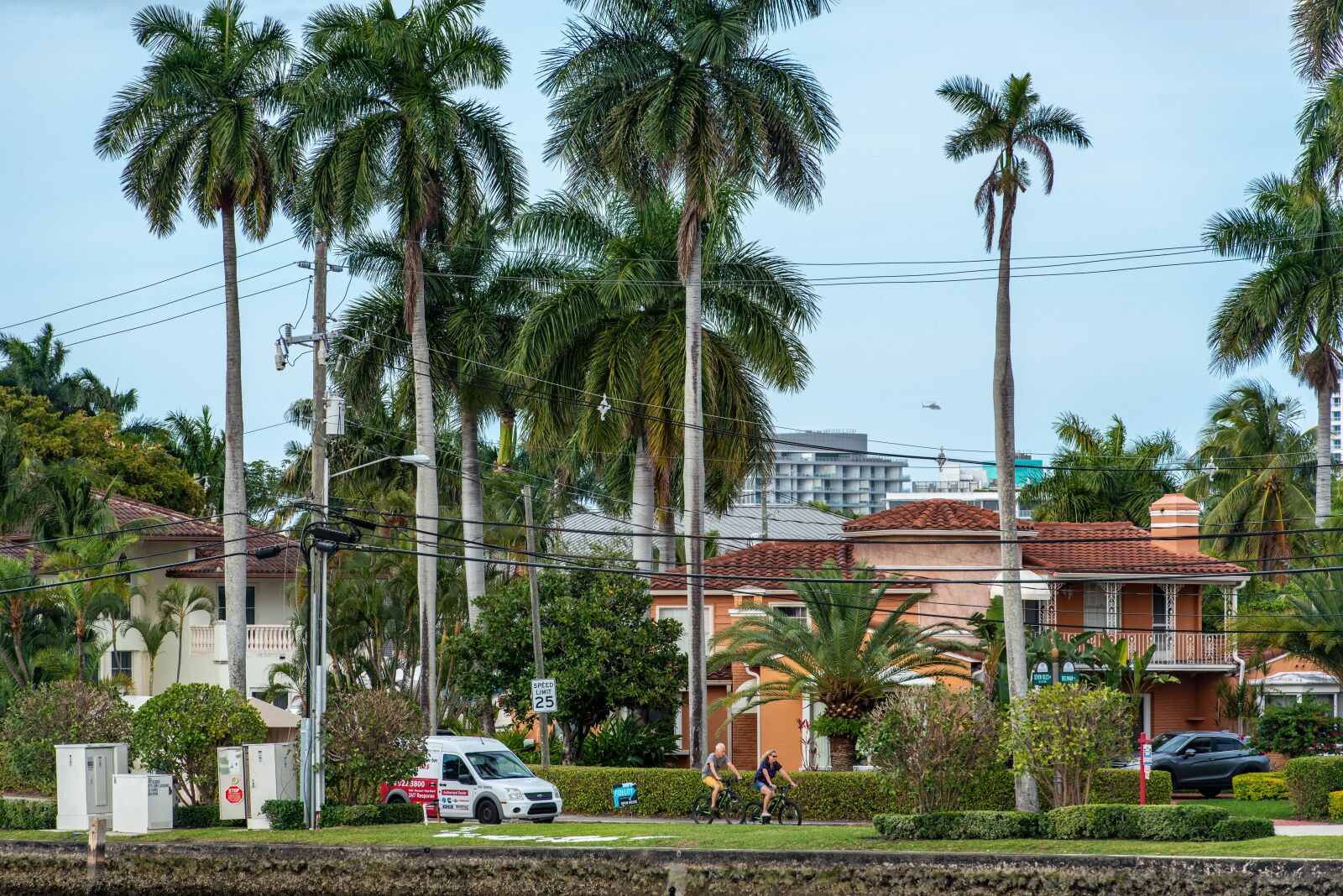 Nikon D800 sample photo. Neighborhood, palm trees, bicycling photography