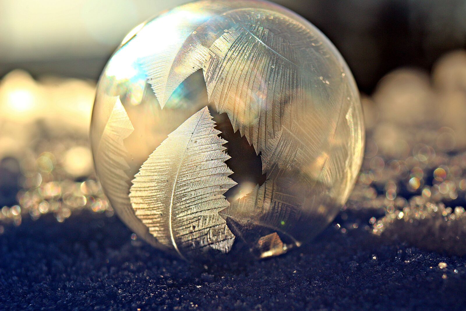 Canon EOS 100D (EOS Rebel SL1 / EOS Kiss X7) sample photo. Soap bubble, frost bubble photography