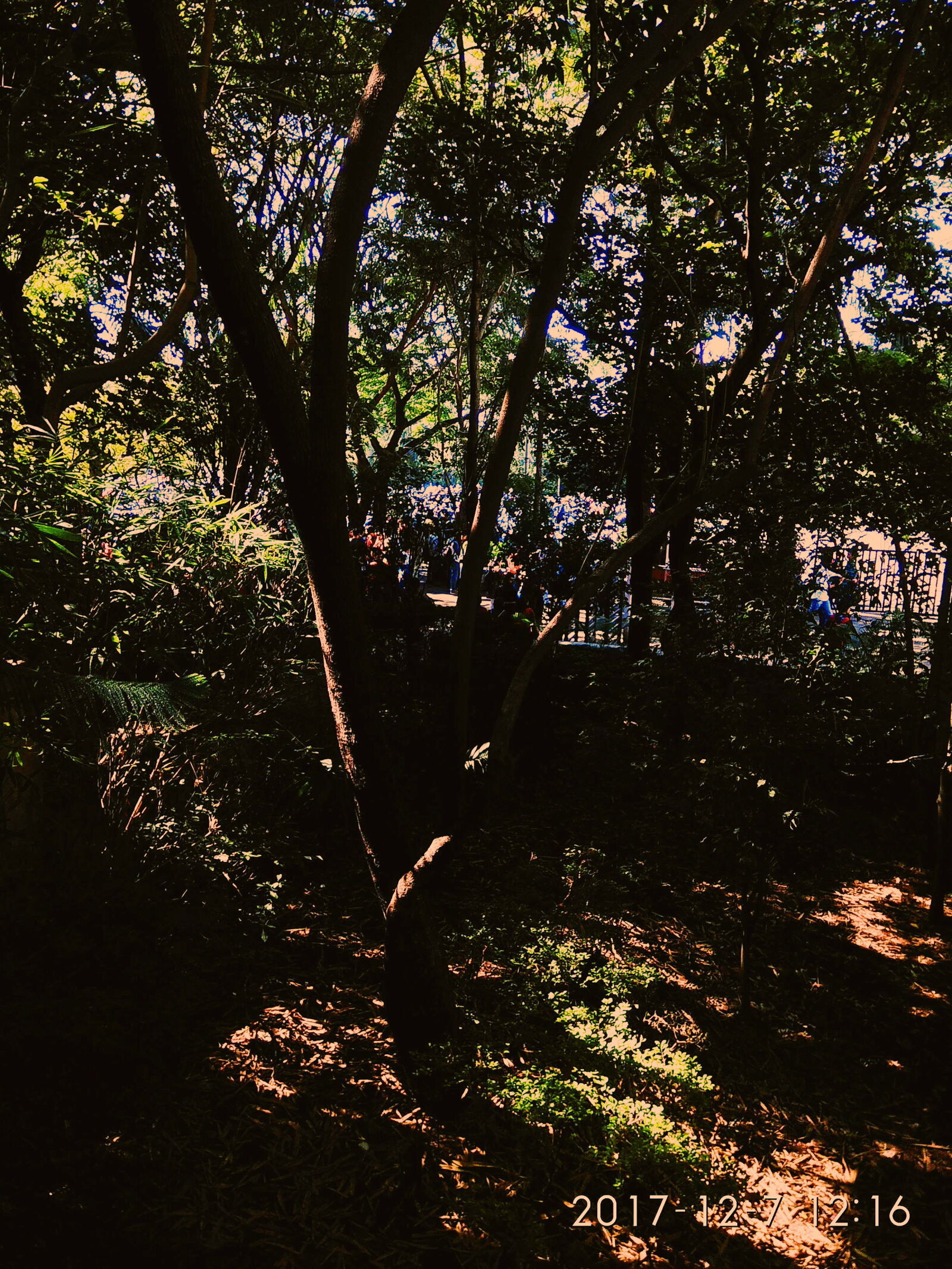 Xiaomi Redmi Note 4 sample photo. Amazing, beautiful, blue, dark photography