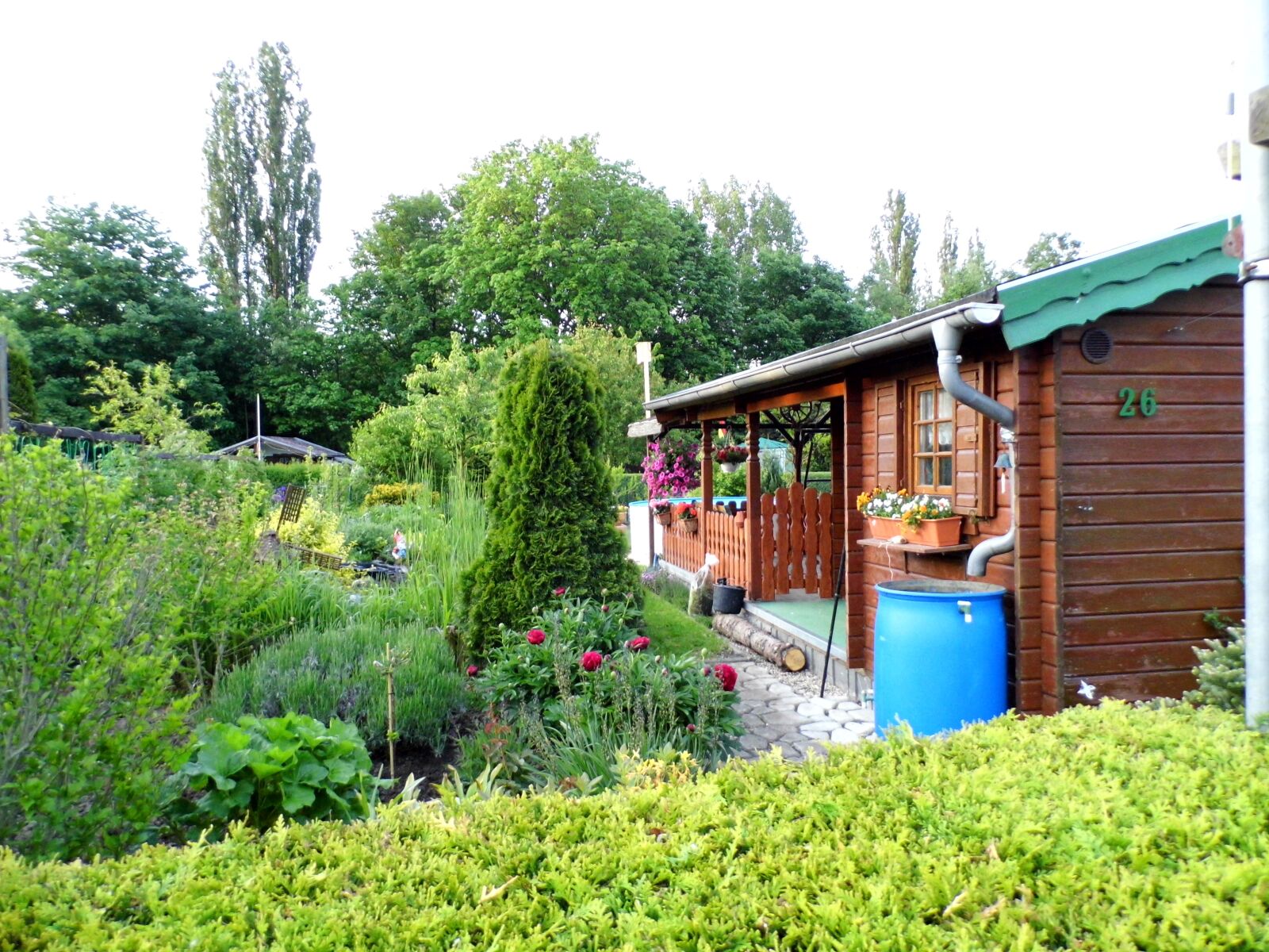 Rollei Powerflex 210 HD sample photo. Garden, leisure, recovery photography