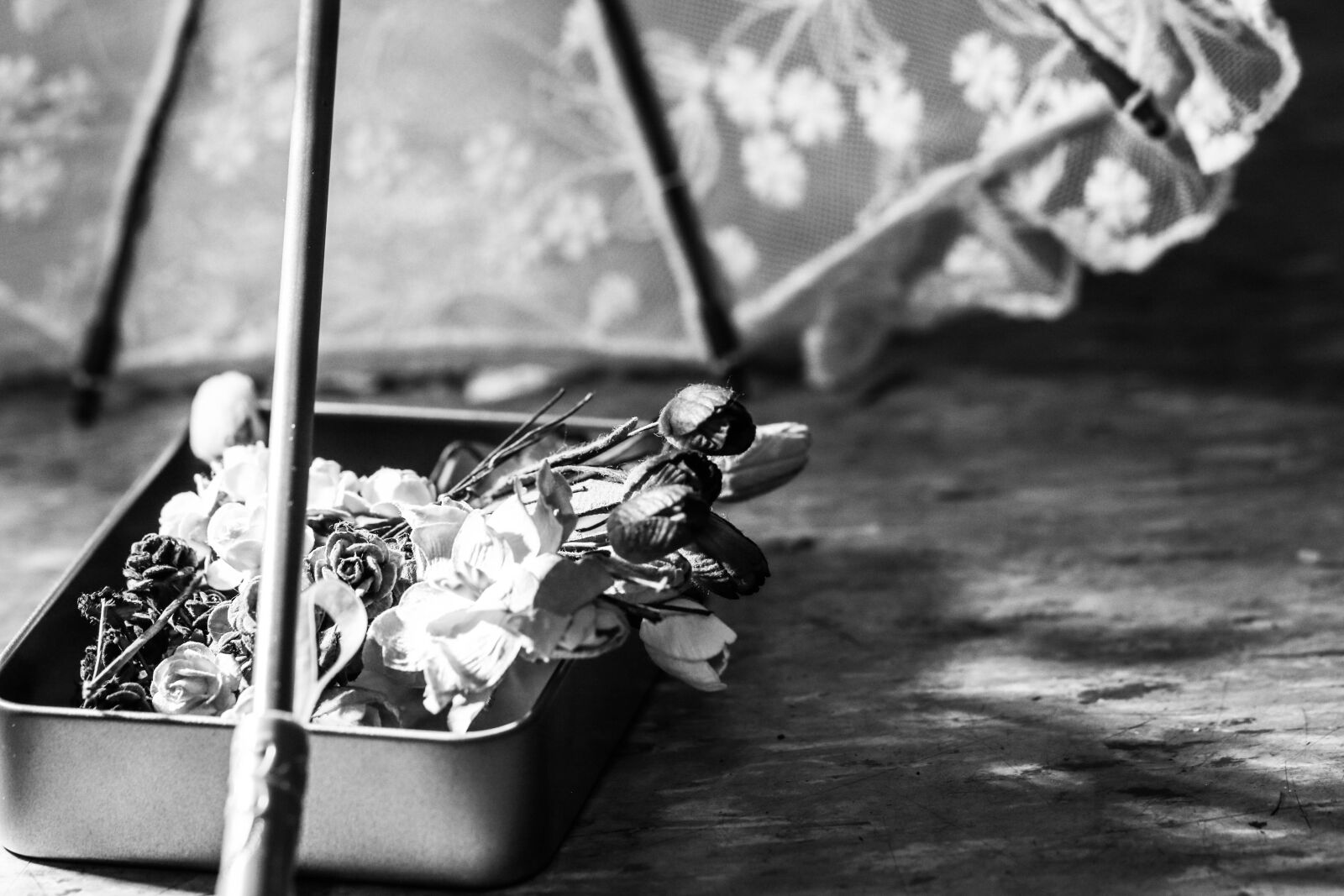 Canon EOS 7D Mark II sample photo. Flowers, miniature, umbrella photography