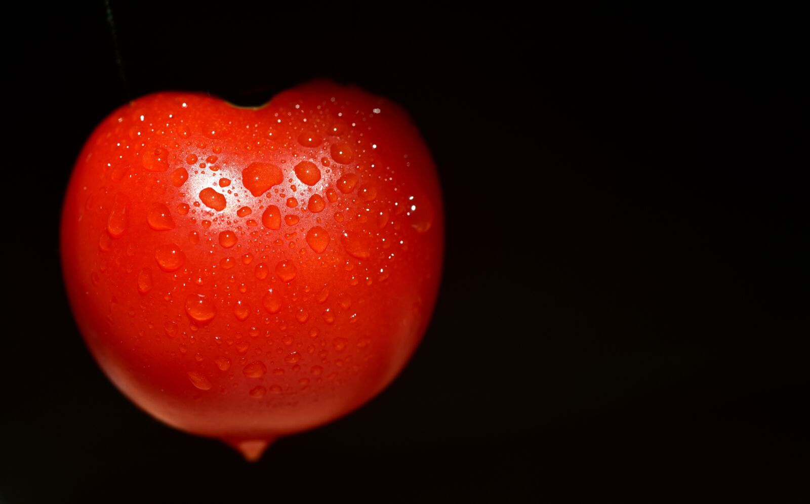 Nikon D750 sample photo. Tomatoes, heart, love photography