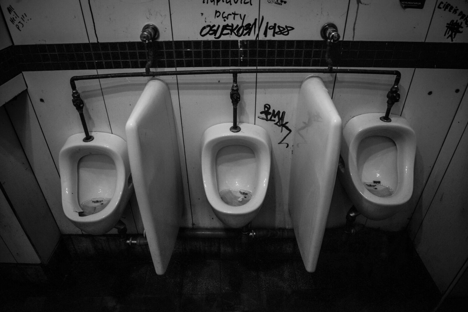 Nikon D610 sample photo. Urinoir, toilet, empty photography