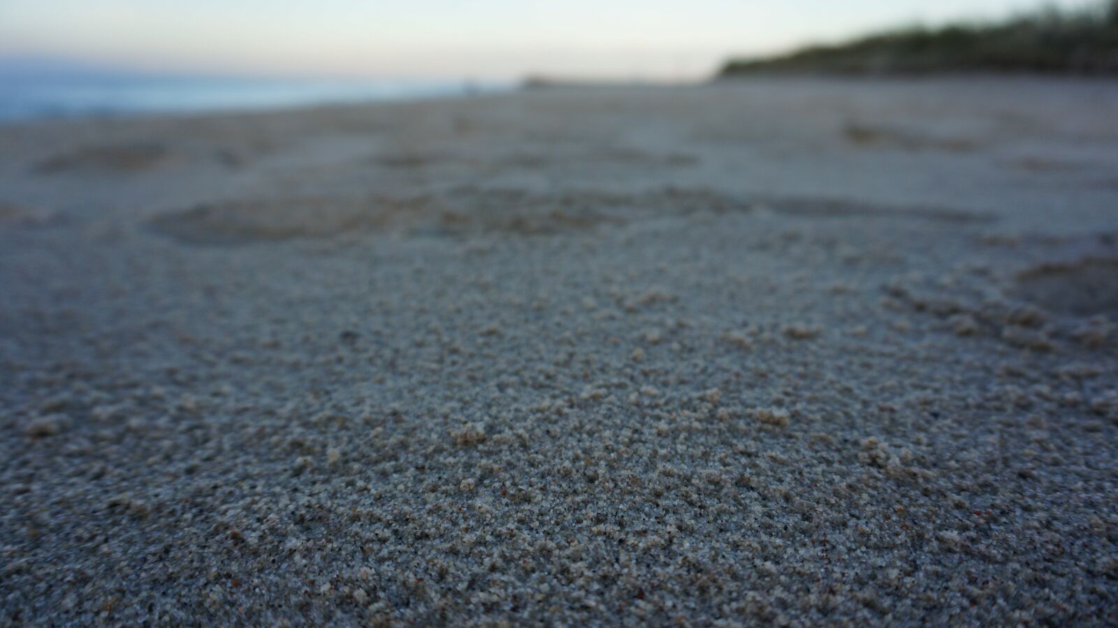 Sony Alpha NEX-5T sample photo. Morze, plaża, piasek photography