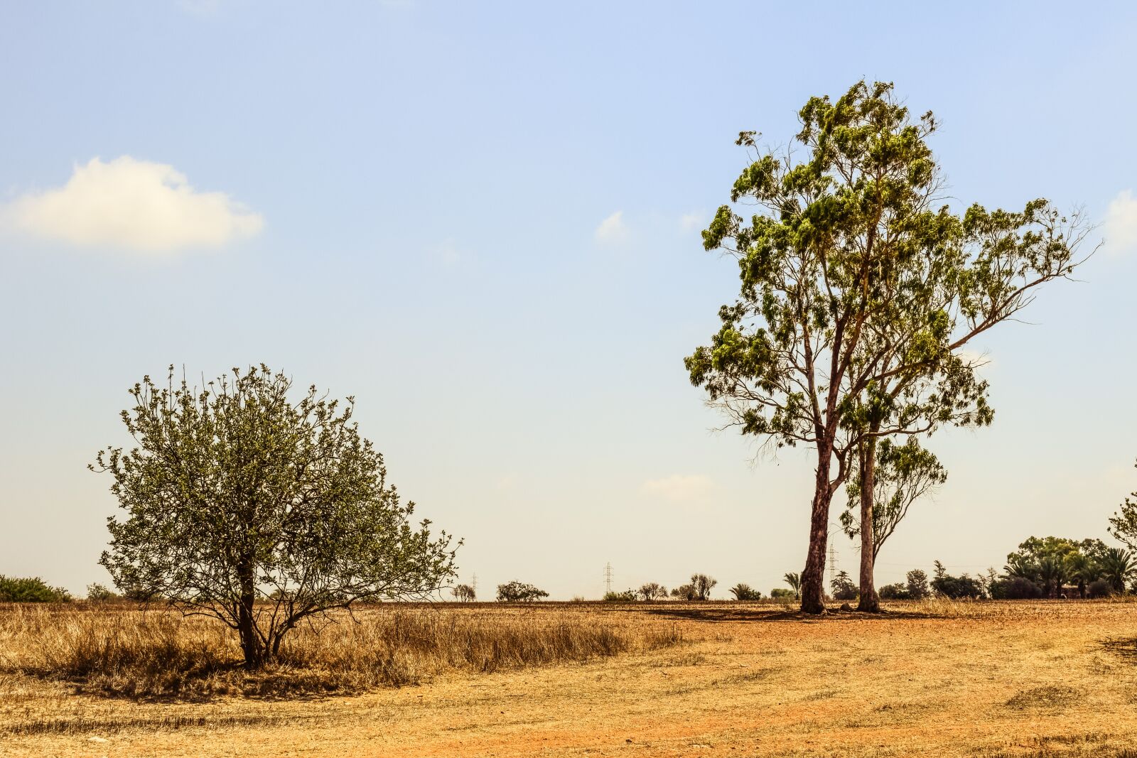 Nikon D3300 sample photo. Trees, meadow, landscape photography