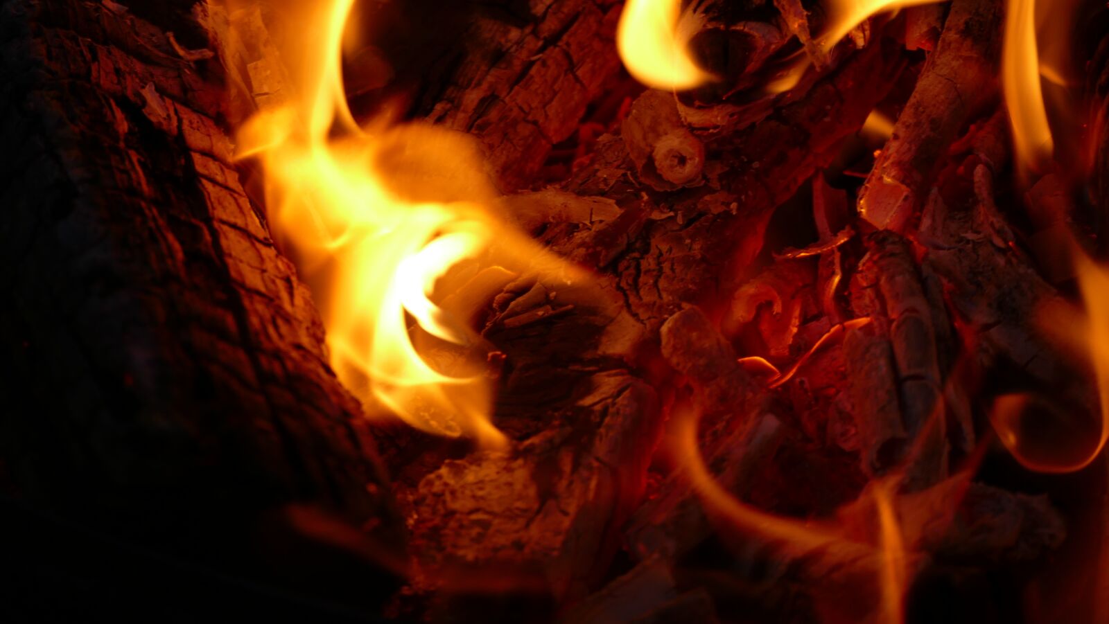 Panasonic Lumix DMC-FZ1000 sample photo. Fire, fire bowl, night photography