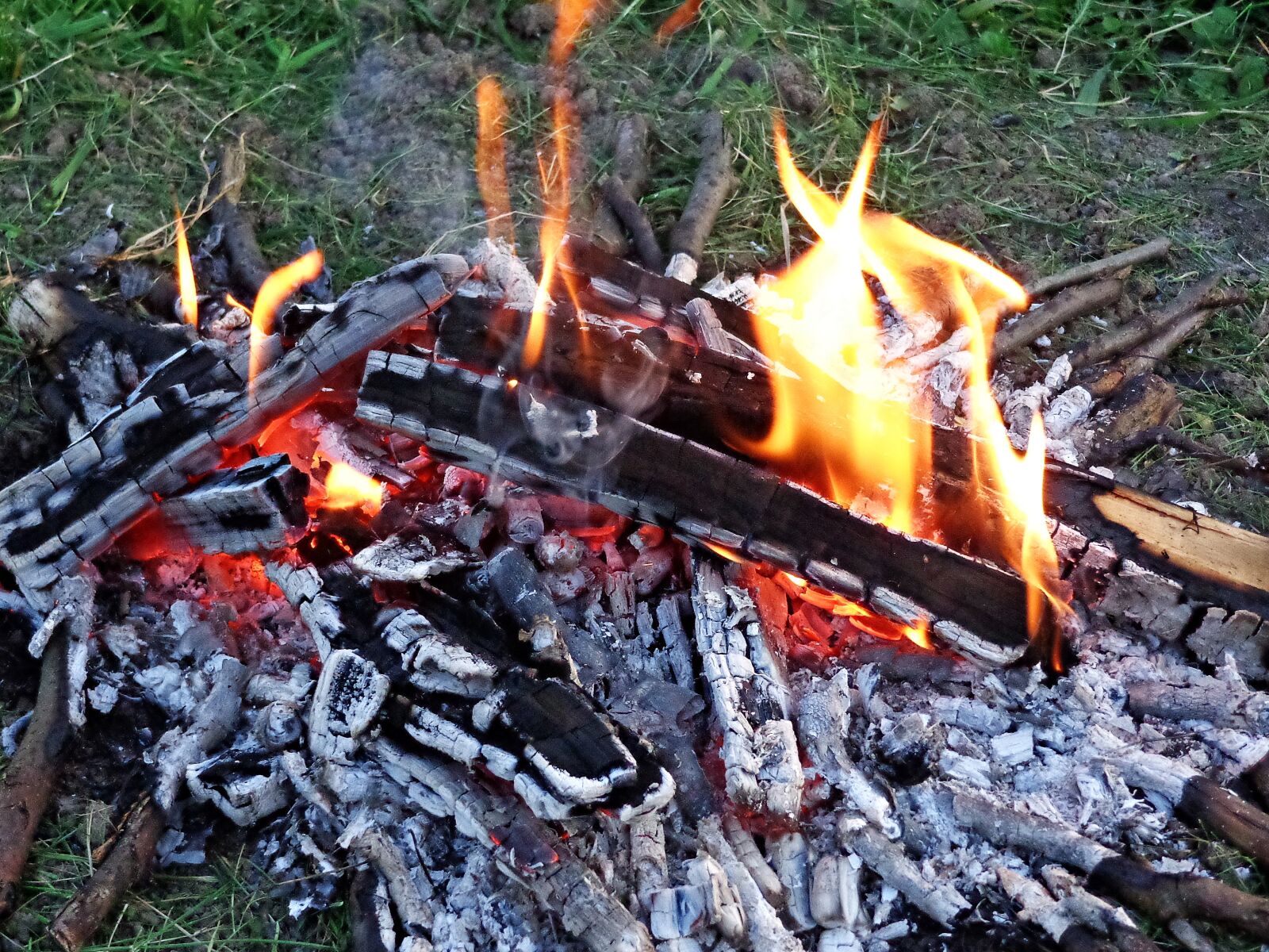 Sony Cyber-shot DSC-H90 sample photo. An outbreak of, camping photography