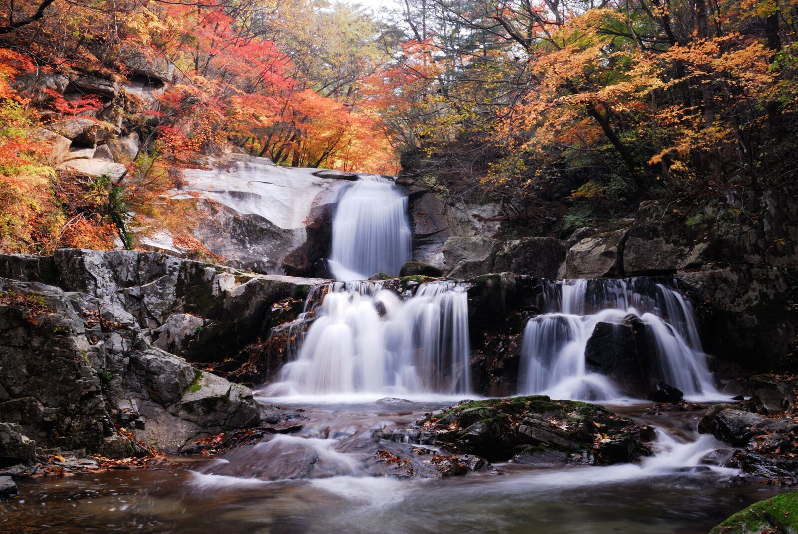 Nikon D200 sample photo. Nature, autumn, landscape photography