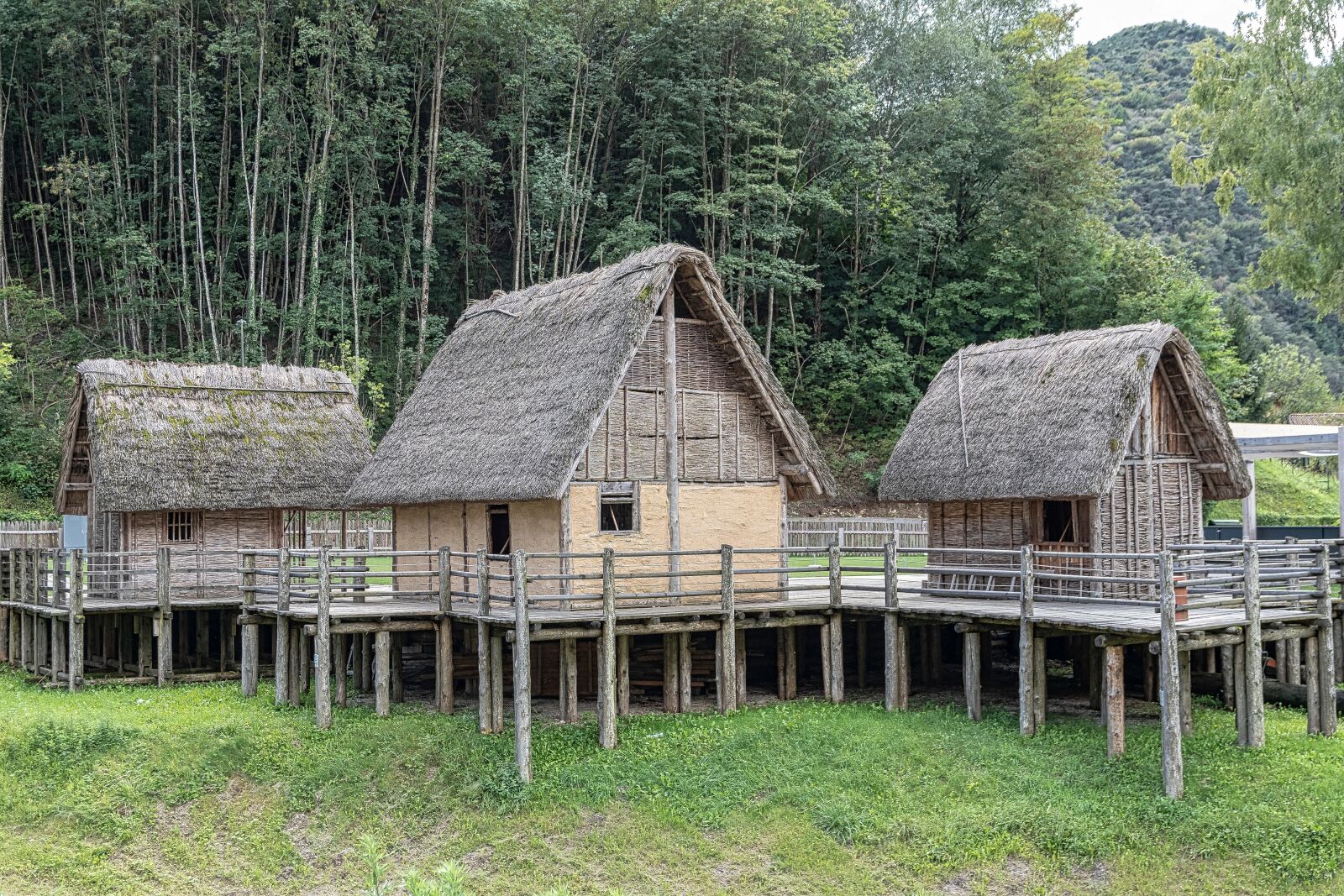 Nikon D7500 sample photo. Huts, shelter, pile dwellings photography
