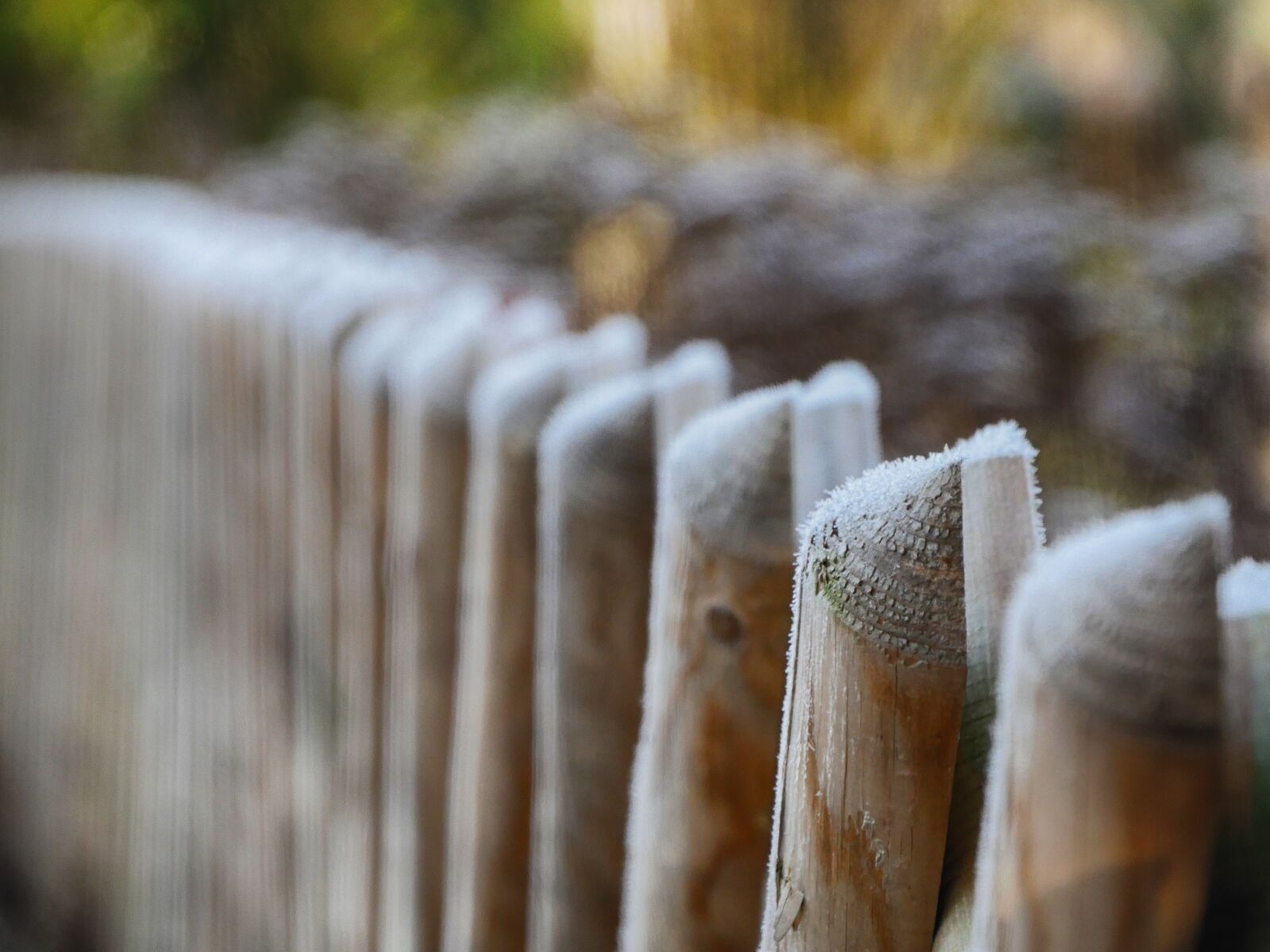 Panasonic Lumix DMC-GH4 sample photo. Fence, ice, frost photography