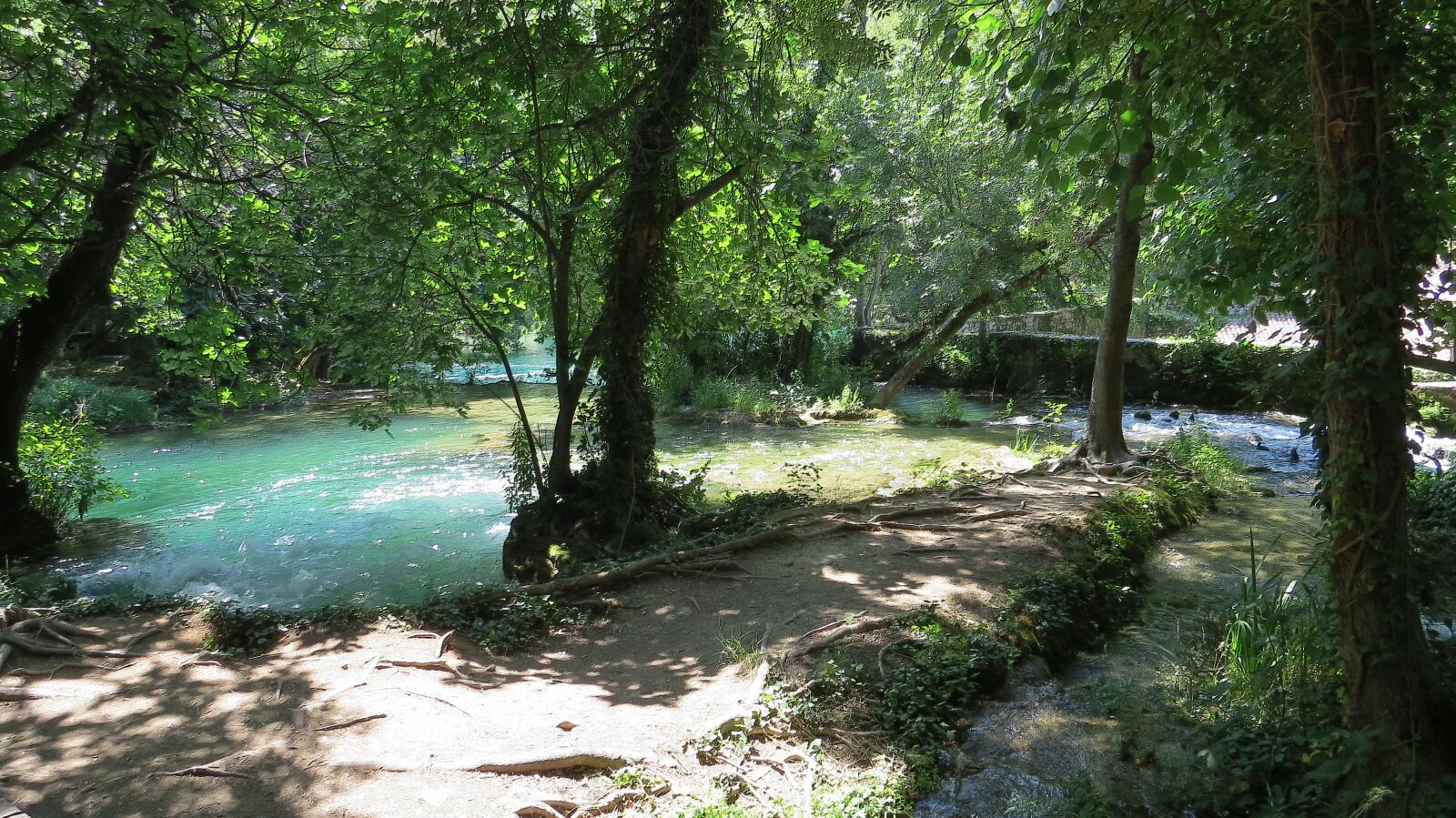 Canon PowerShot SX50 HS sample photo. River, tree, nature photography