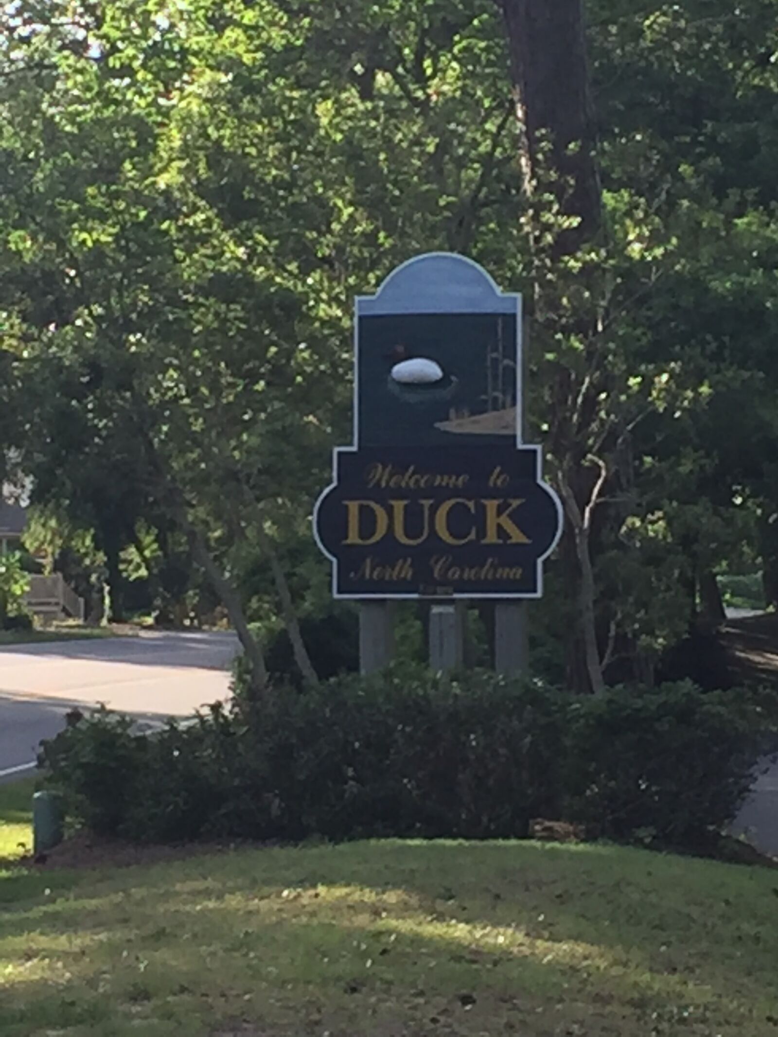 iPhone 6 Plus back camera 4.15mm f/2.2 sample photo. Duck, north carolina, outer photography