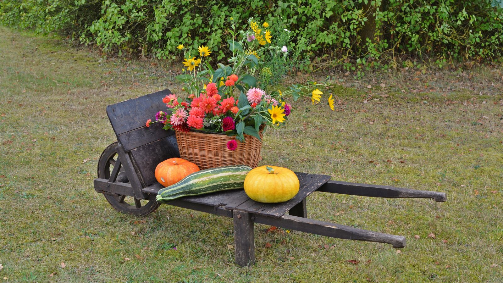 Nikon D5200 sample photo. Thanksgiving, decoration, harvest festival photography
