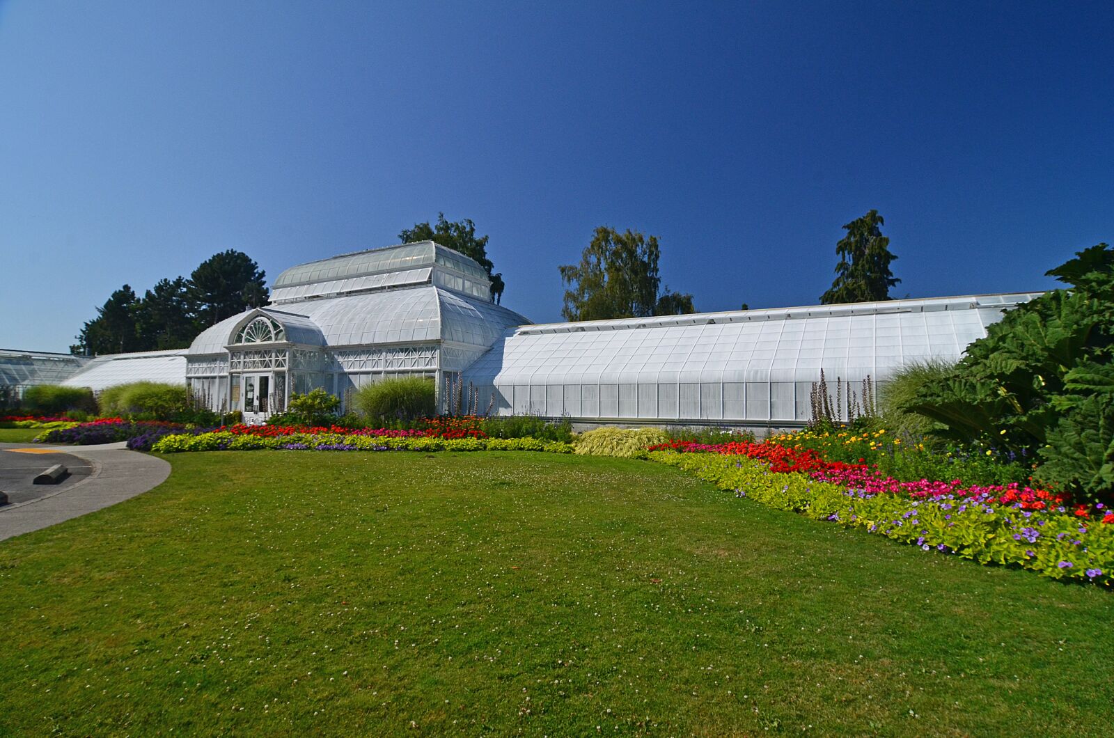 Nikon D7000 sample photo. Seattle, volunteer park, conservatory photography