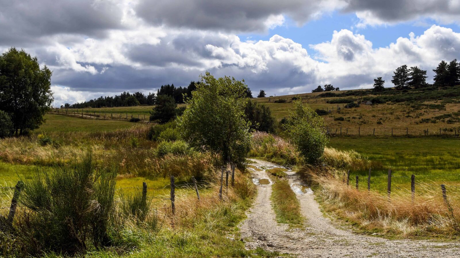 Nikon D500 sample photo. Road, cloud, landscape, grass photography