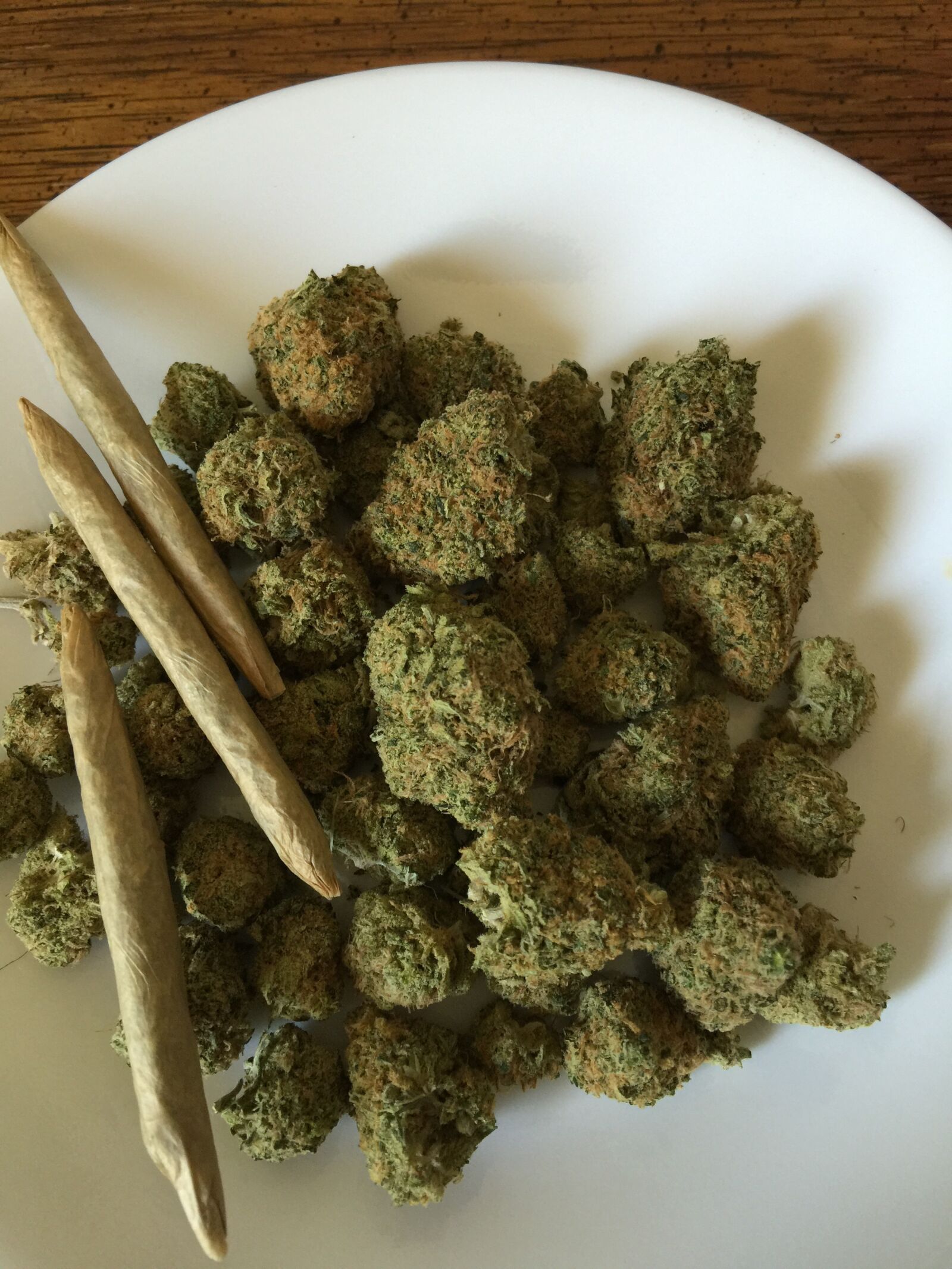 iPhone 6 Plus back camera 4.15mm f/2.2 sample photo. Cannabis, marijuana, weed photography