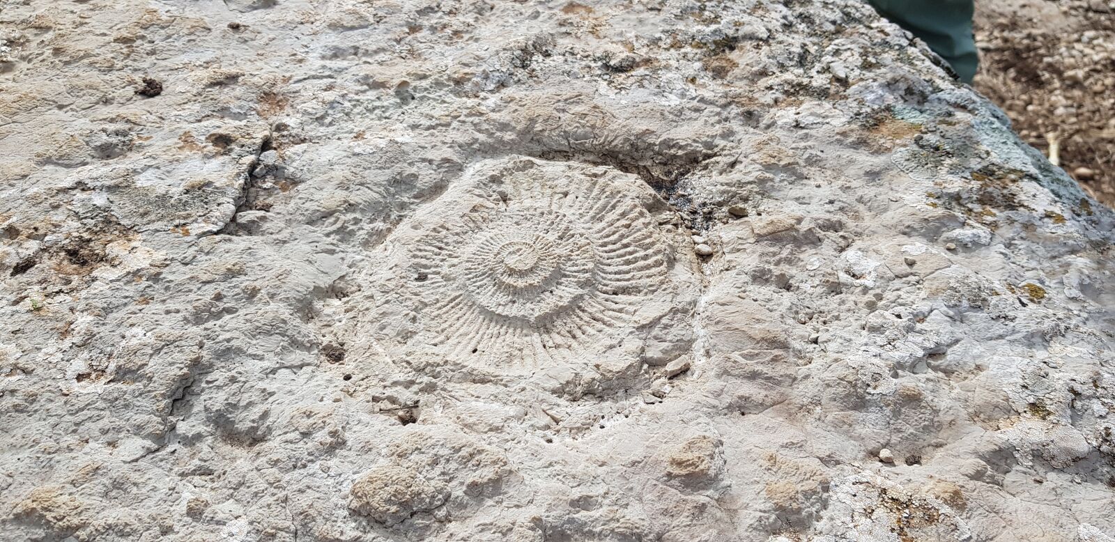 Samsung Galaxy S8 sample photo. Fossil, torcal, national park photography