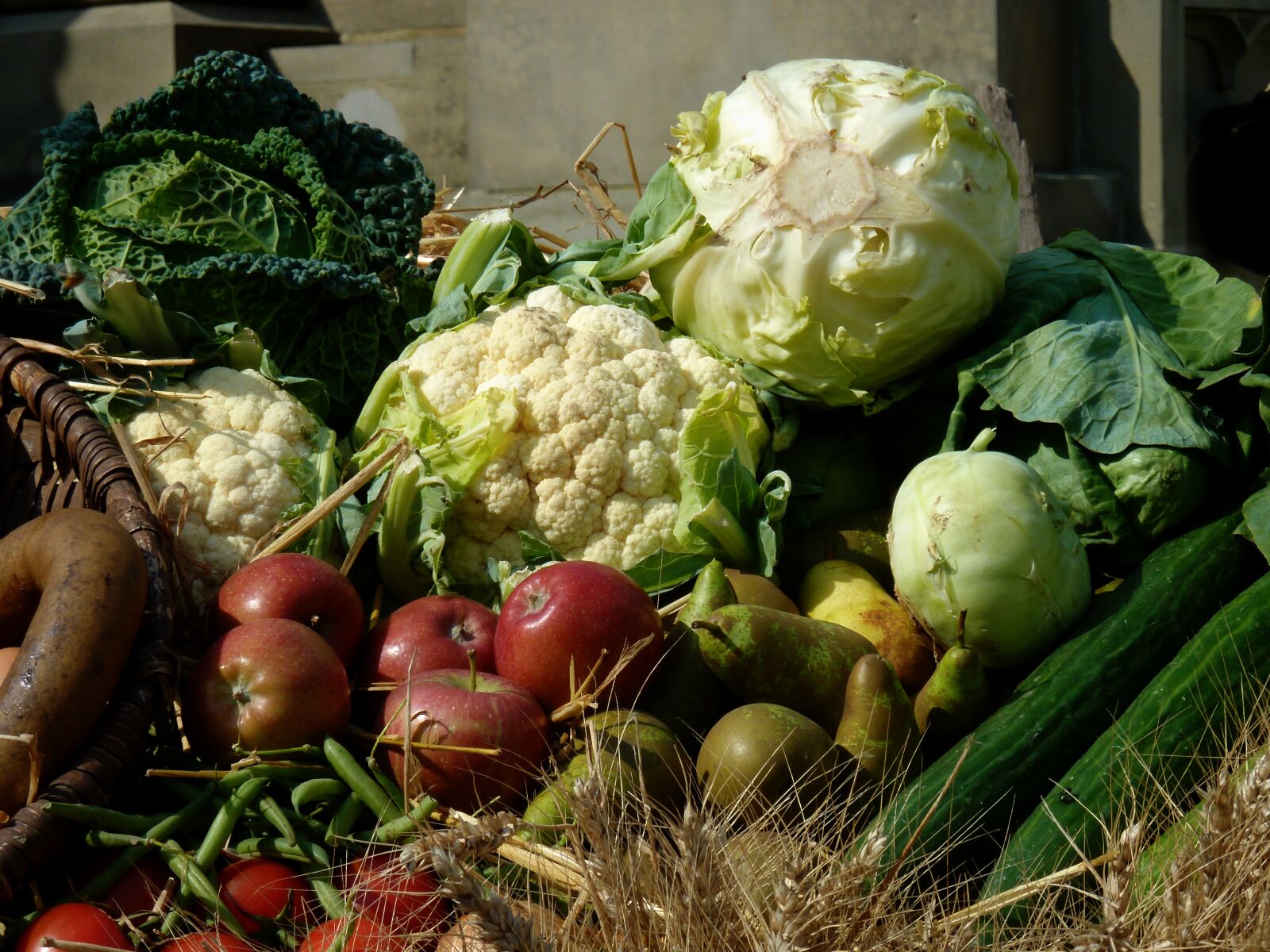 Panasonic DMC-TZ7 sample photo. Thanksgiving, pumpkins, vegetables photography