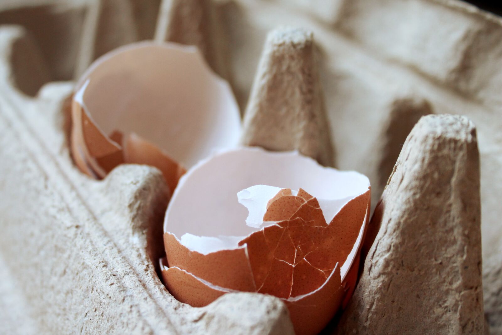 Canon EOS 1100D (EOS Rebel T3 / EOS Kiss X50) sample photo. Egg, food, cooking photography