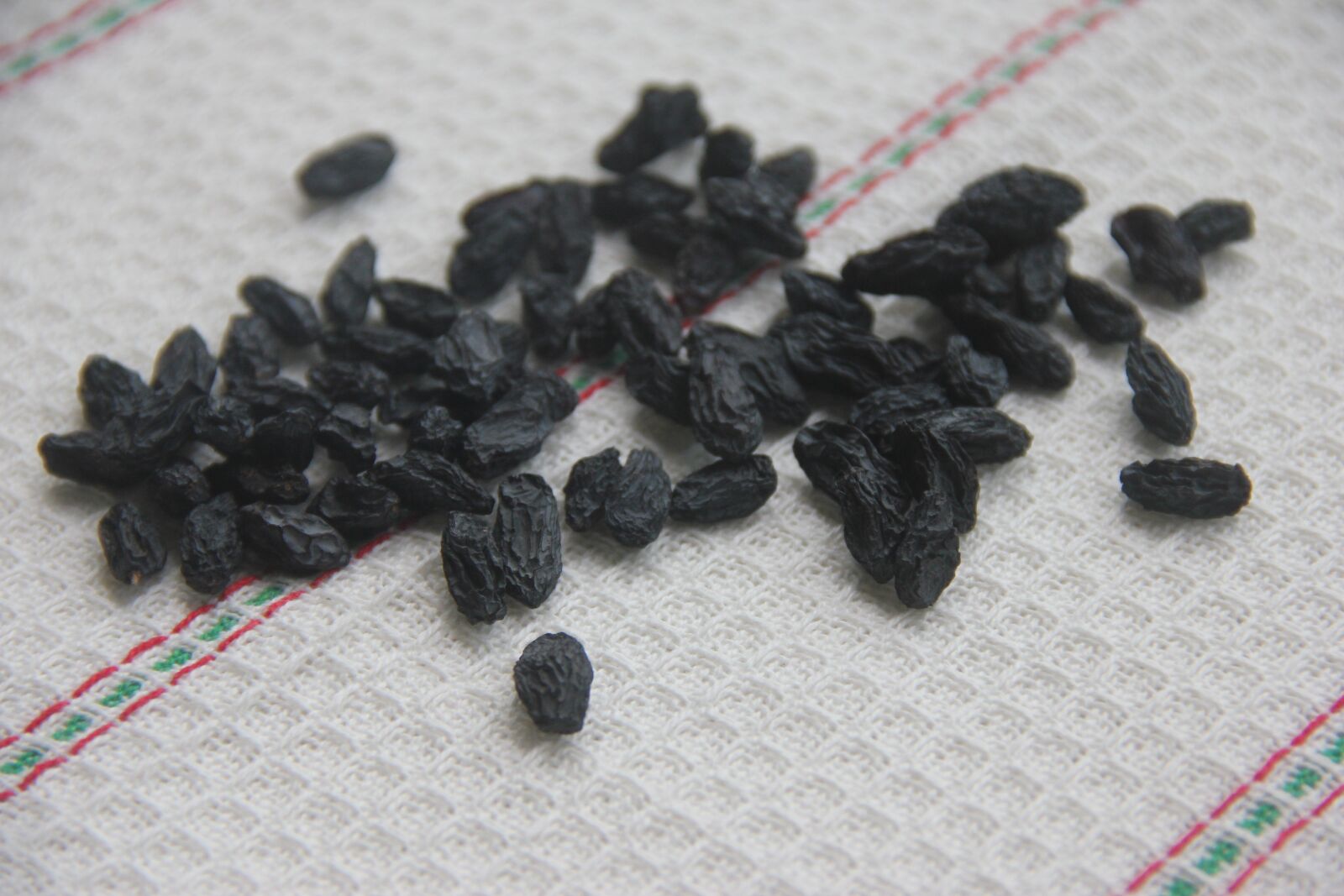 Canon EOS 550D (EOS Rebel T2i / EOS Kiss X4) sample photo. Raisin, raisins, dried fruits photography