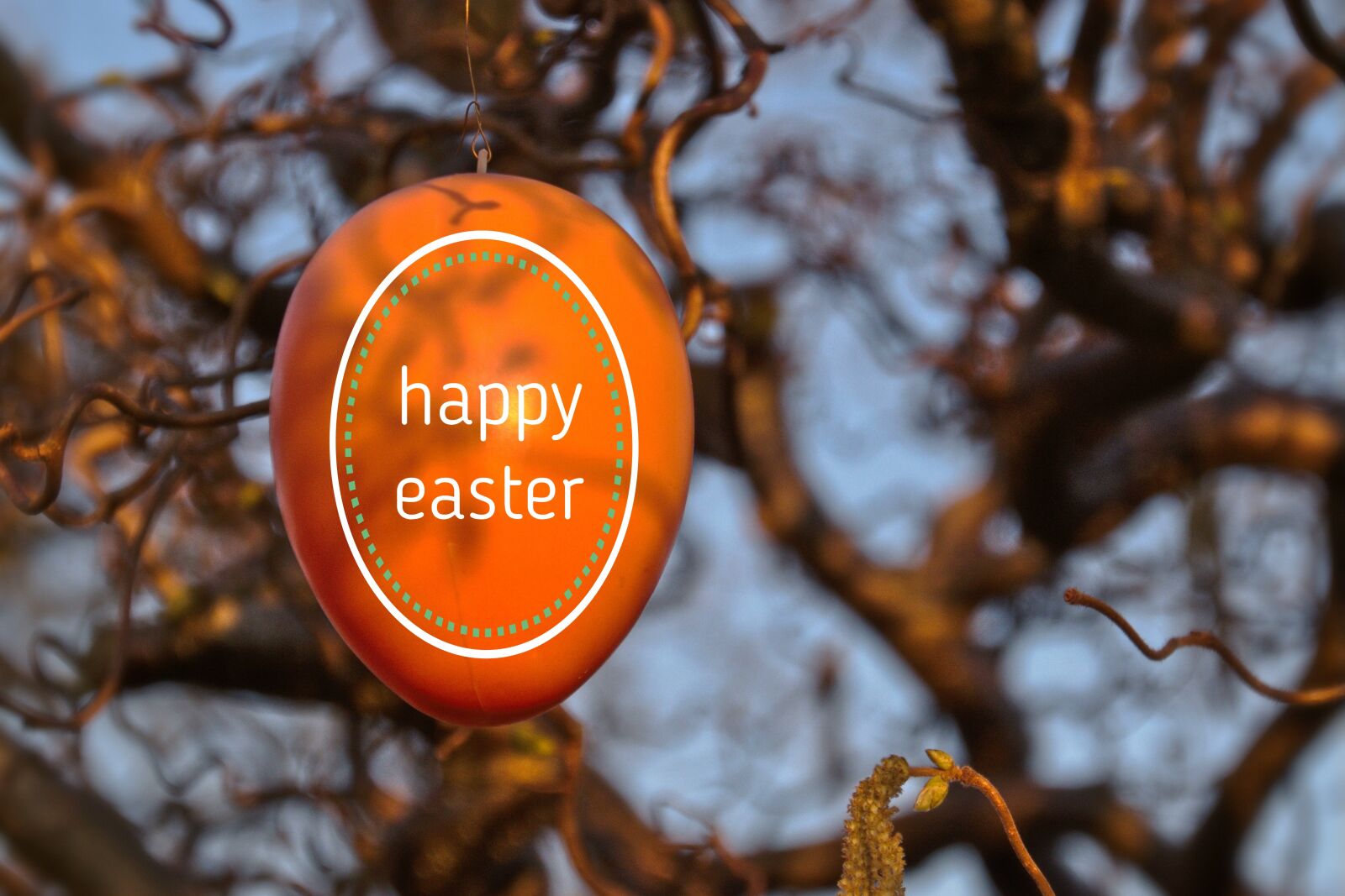 Nikon D5600 sample photo. Easter, easter egg, easter photography