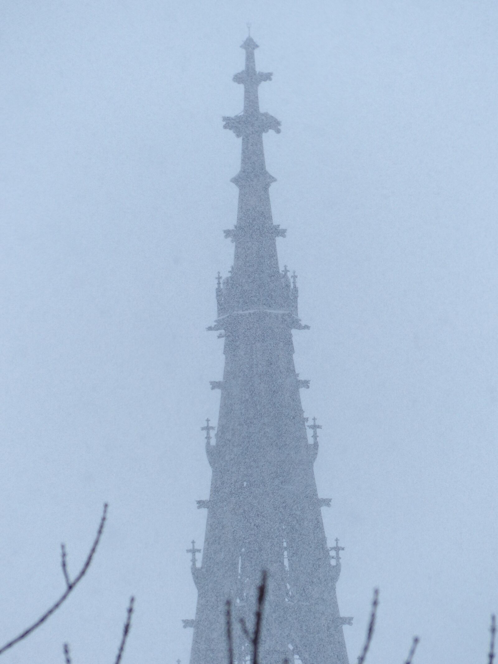 Panasonic Lumix DMC-FZ200 sample photo. Blizzard, snow flurry, snowflakes photography